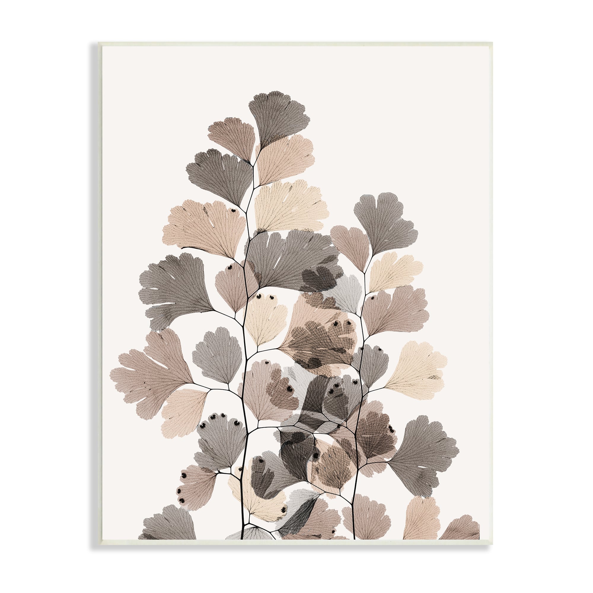 Stupell Industries Modern Ginkgo Leaf Arrangement Translucent Brown Grey Leaves Wood Wall Plaque