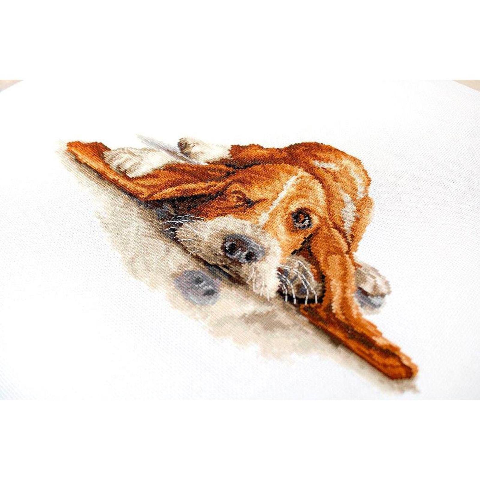 Luca-s Basset Counted Cross Stitch Kit
