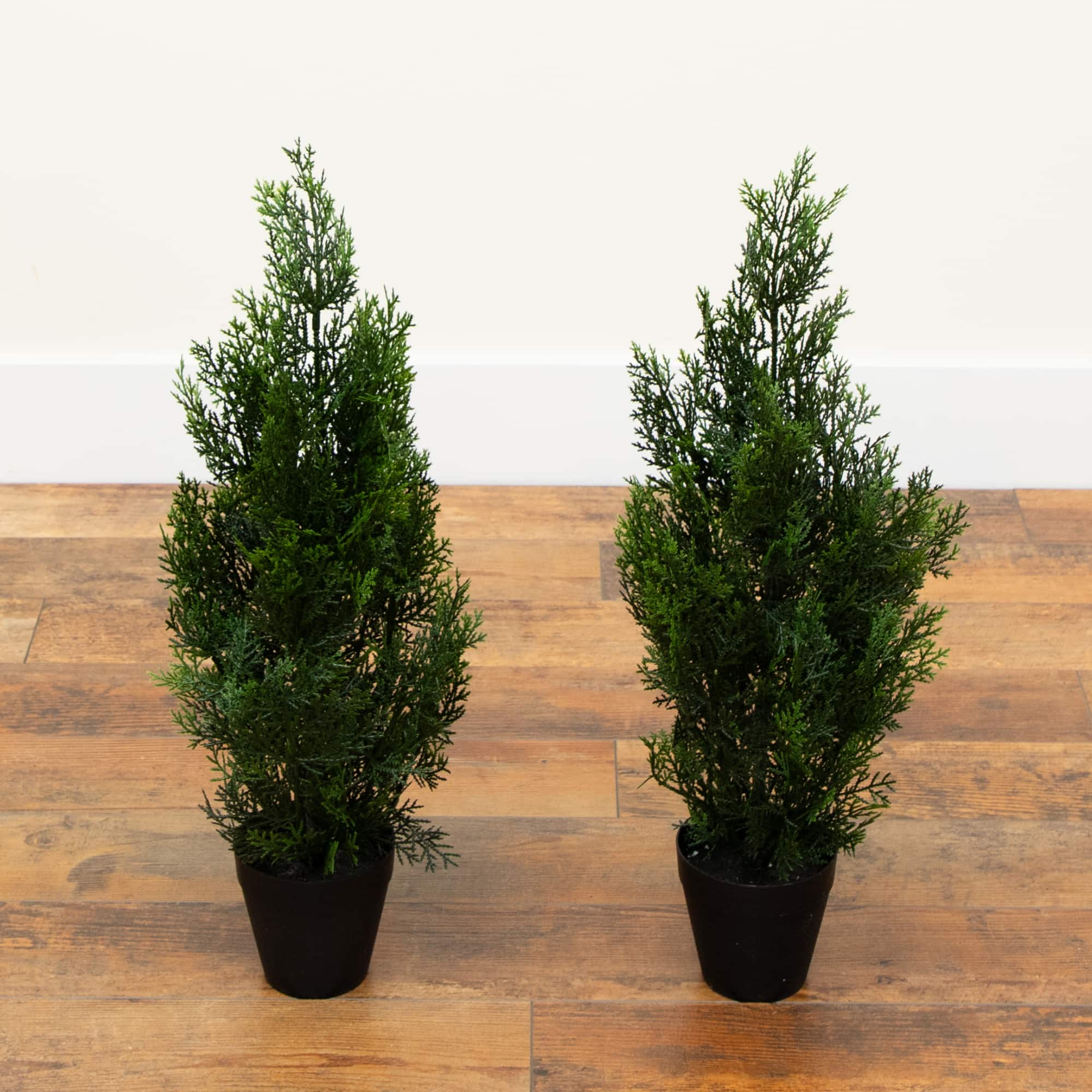 2ft. Potted UV Resistant Cedar Pine Trees, 2ct.