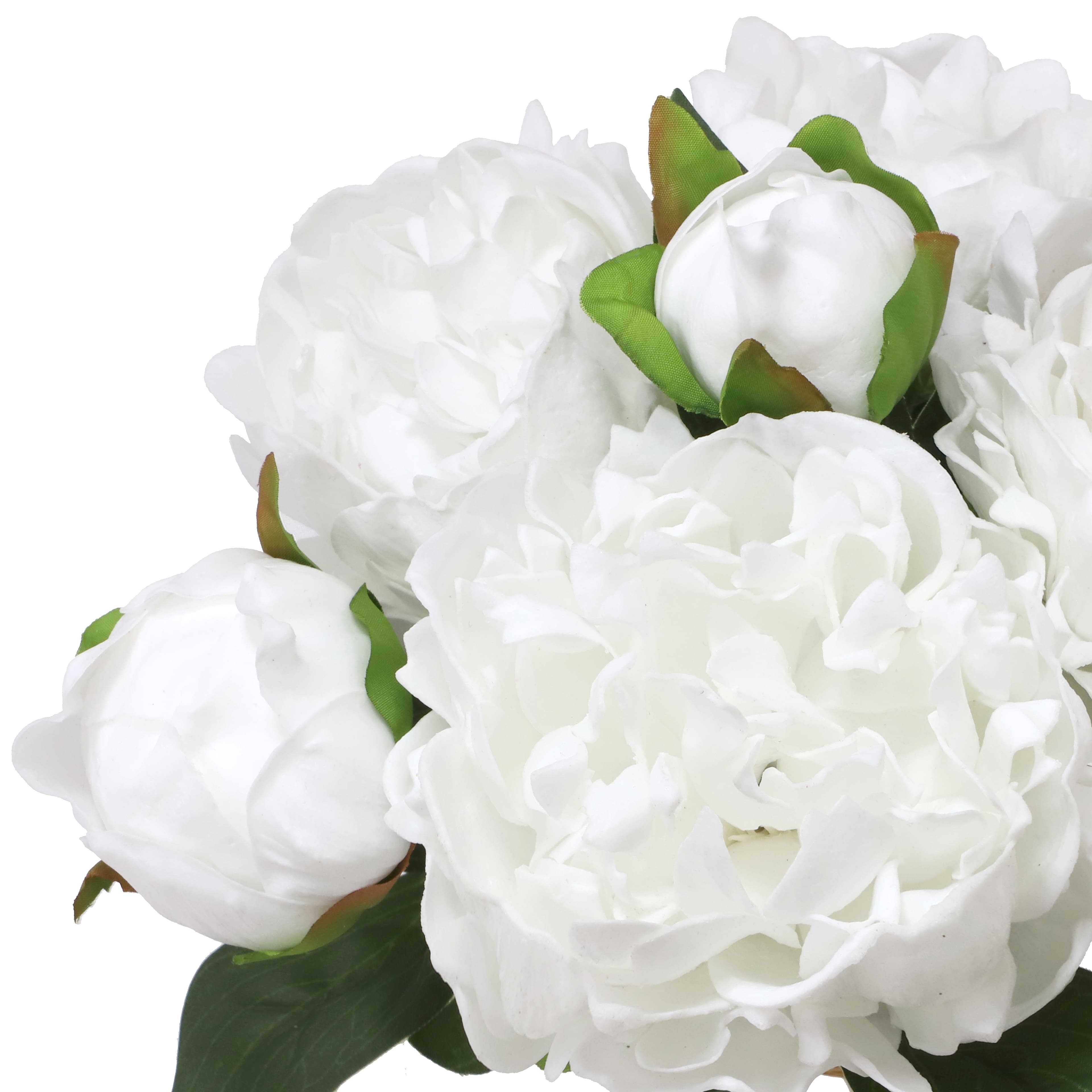 12" White Peony Bush by Ashland®
