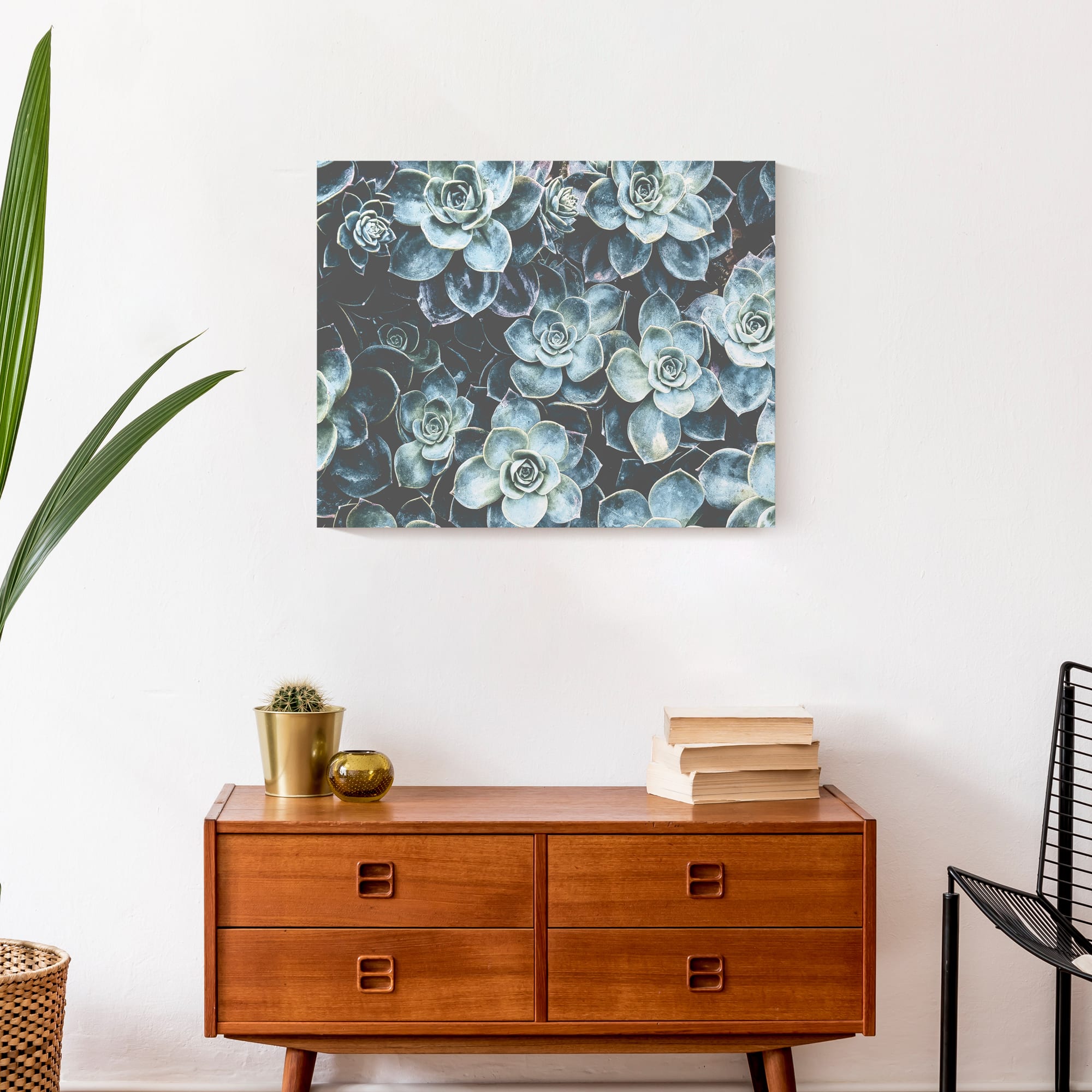 Grouping Of Succulents 20" x 16" Canvas Wall Art