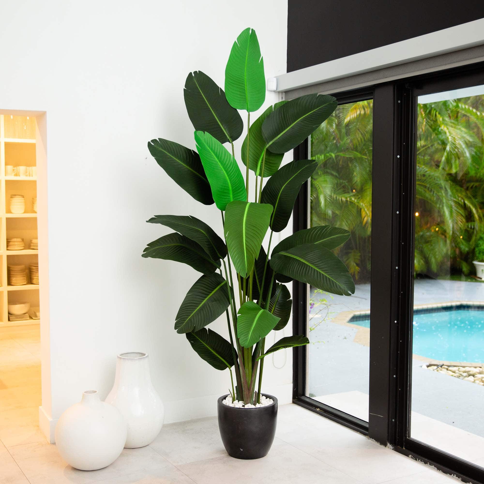 8ft. Potted Travelers Palm Tree