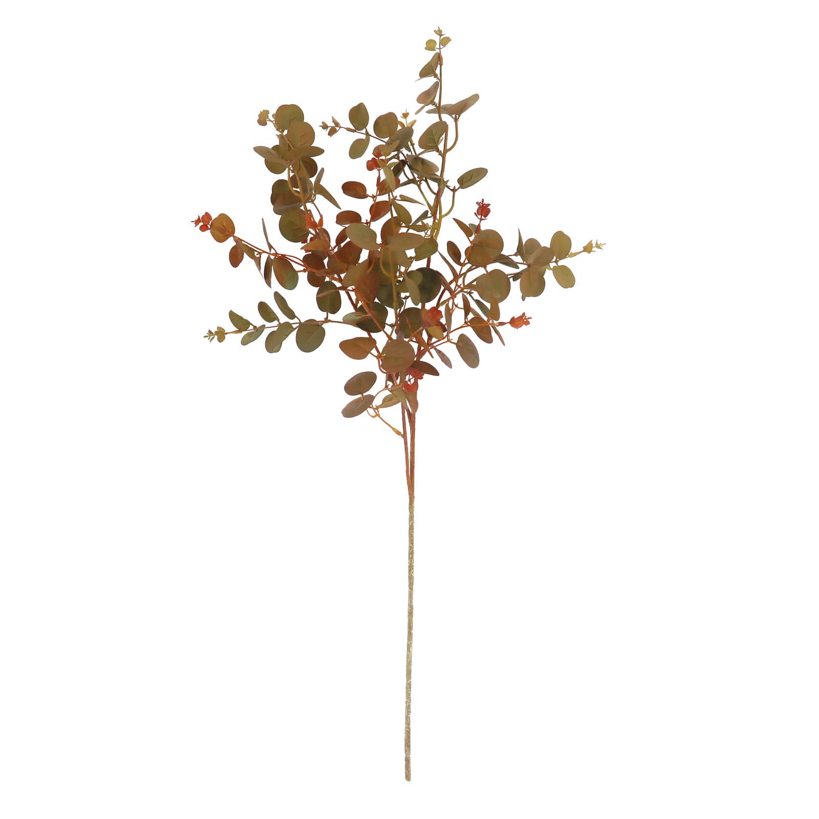 28" Brown & Green Eucalyptus Stem by Ashland®