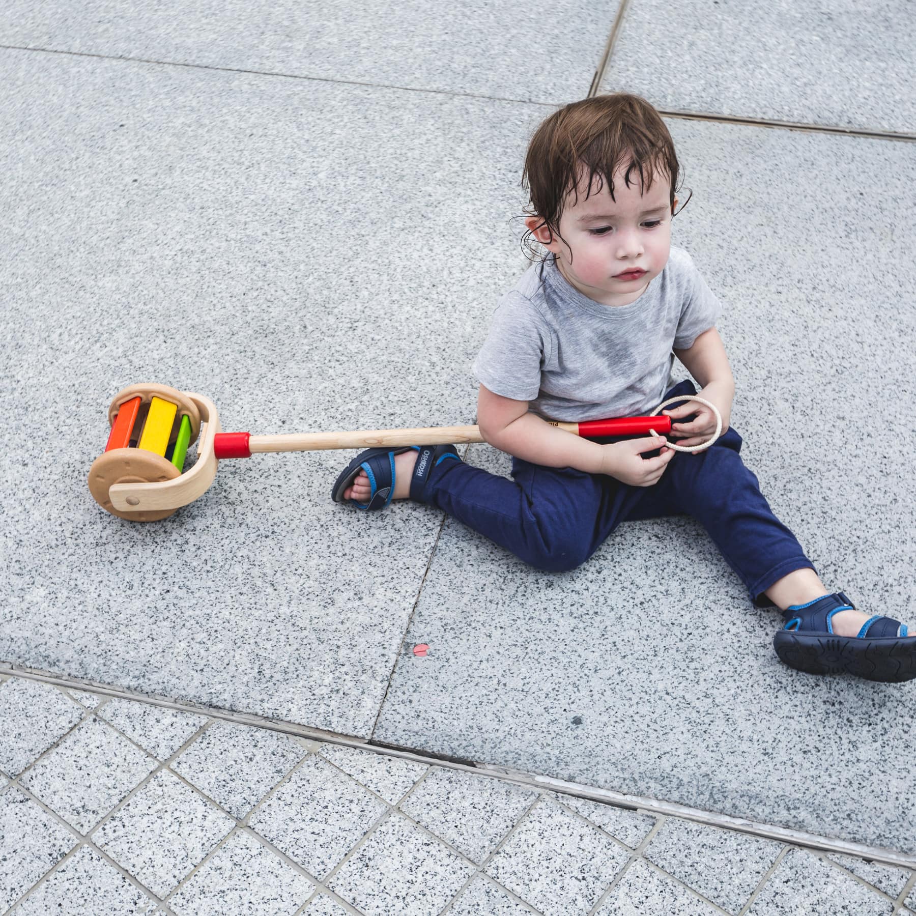 PlanToys Walk N Roll Wooden Push & Pull Toy