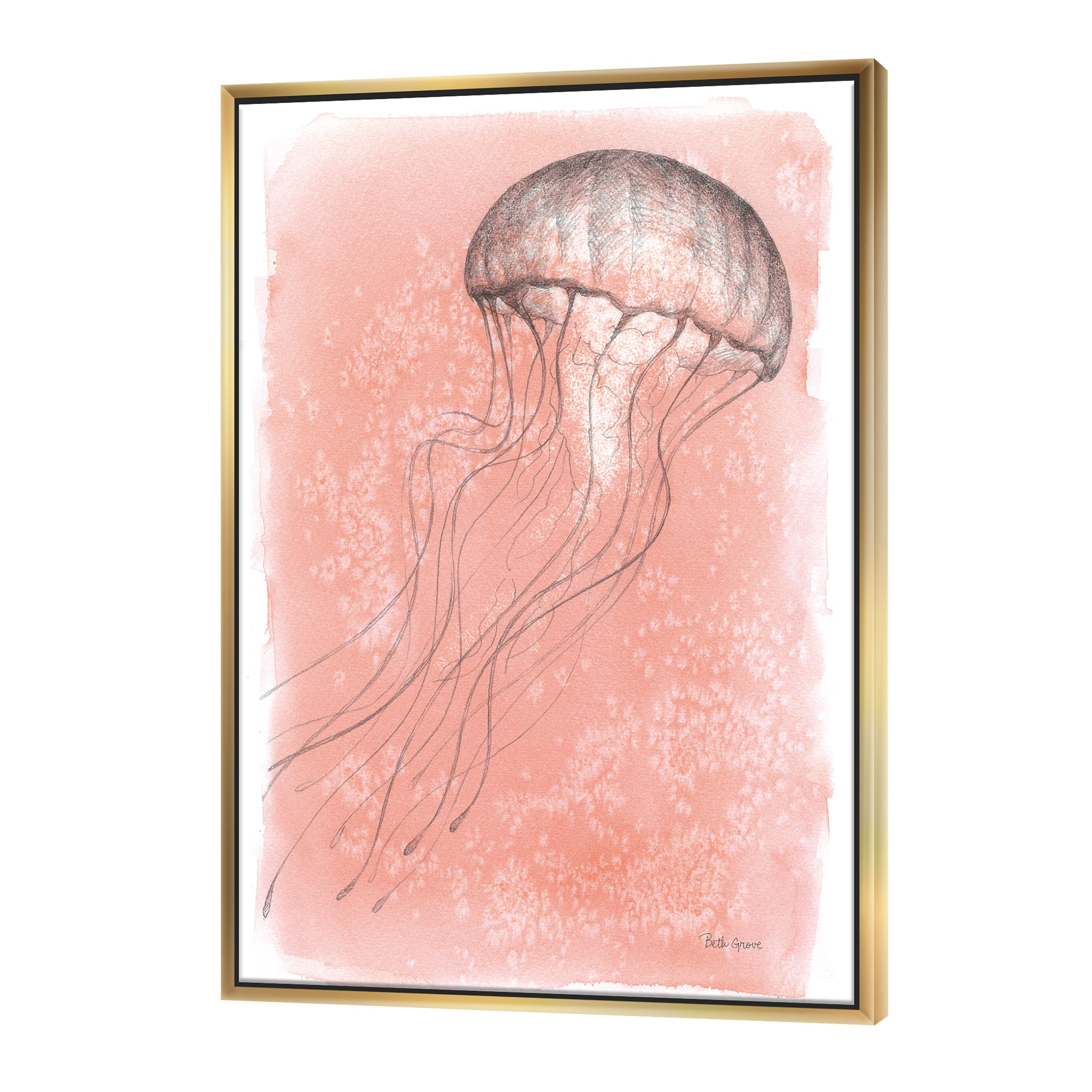 Designart - Coastal Sea Life IV jellyfish sketches