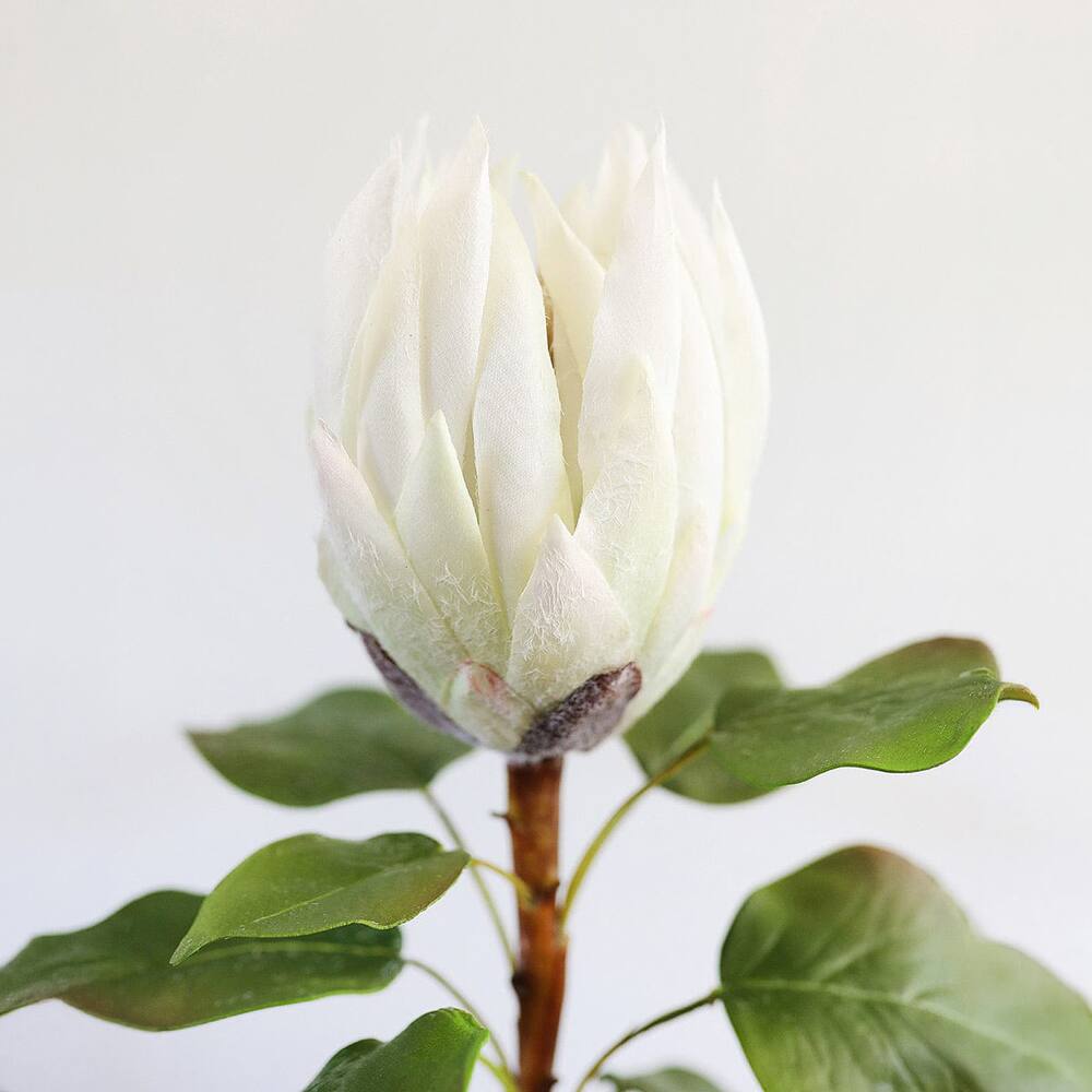 Prestige Botanicals 23.5" Artificial King Protea Stem