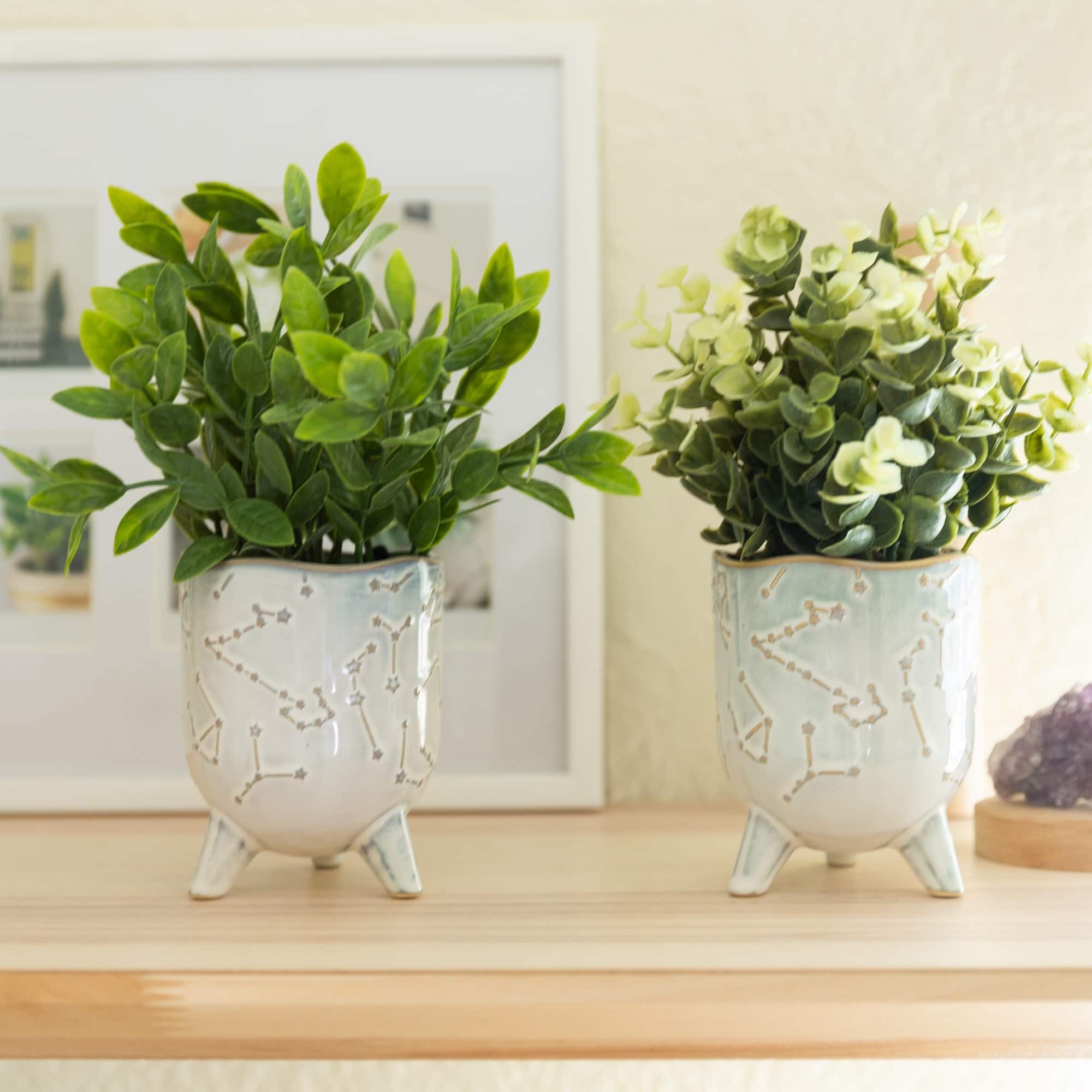 Flora Bunda® Tea Leaf In 3" Ivory Constellation Footed Set