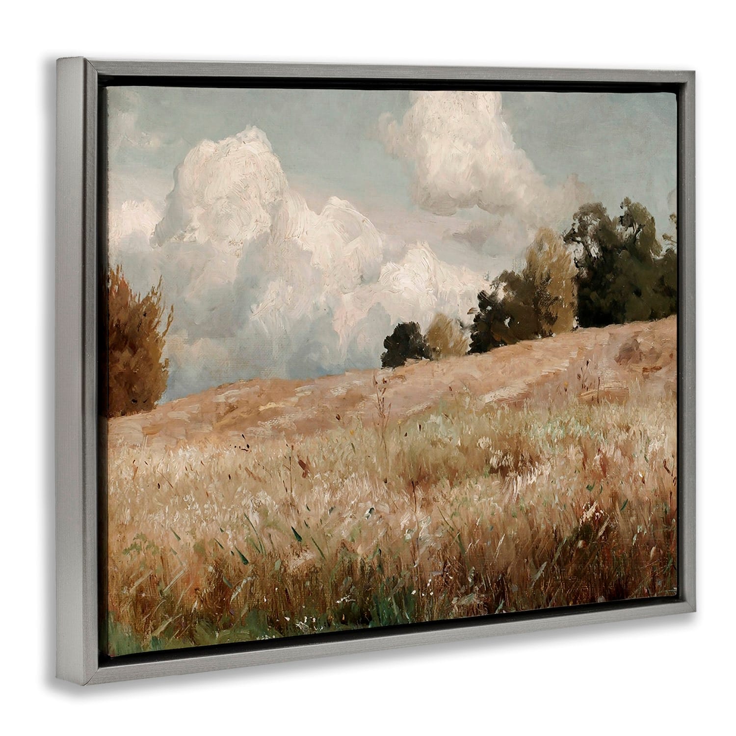 Stupell Industries Classic Cloudy Field Landscape Floater Framed Art