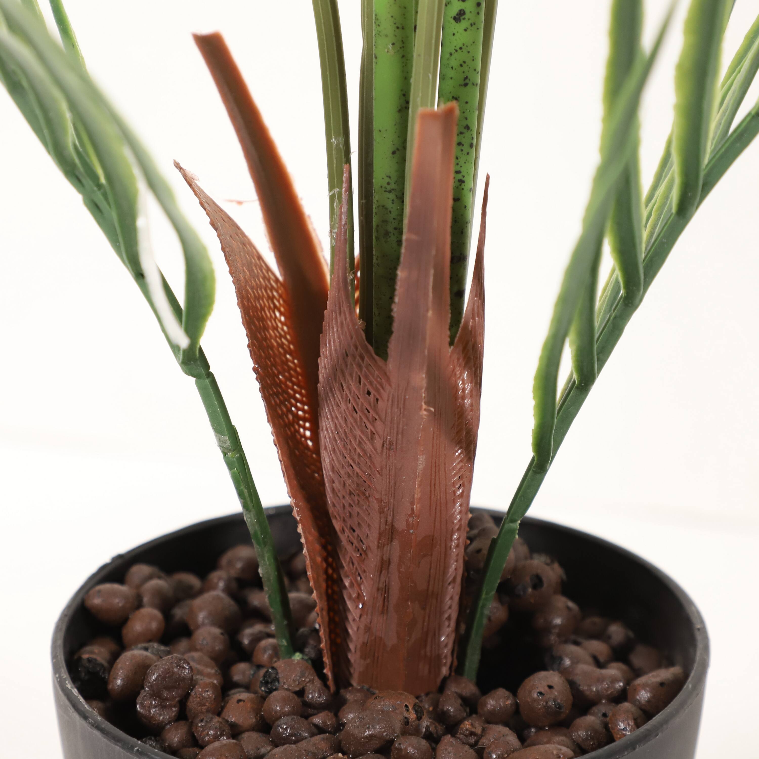6 Pack: 3ft. Potted Areca Palm Tree
