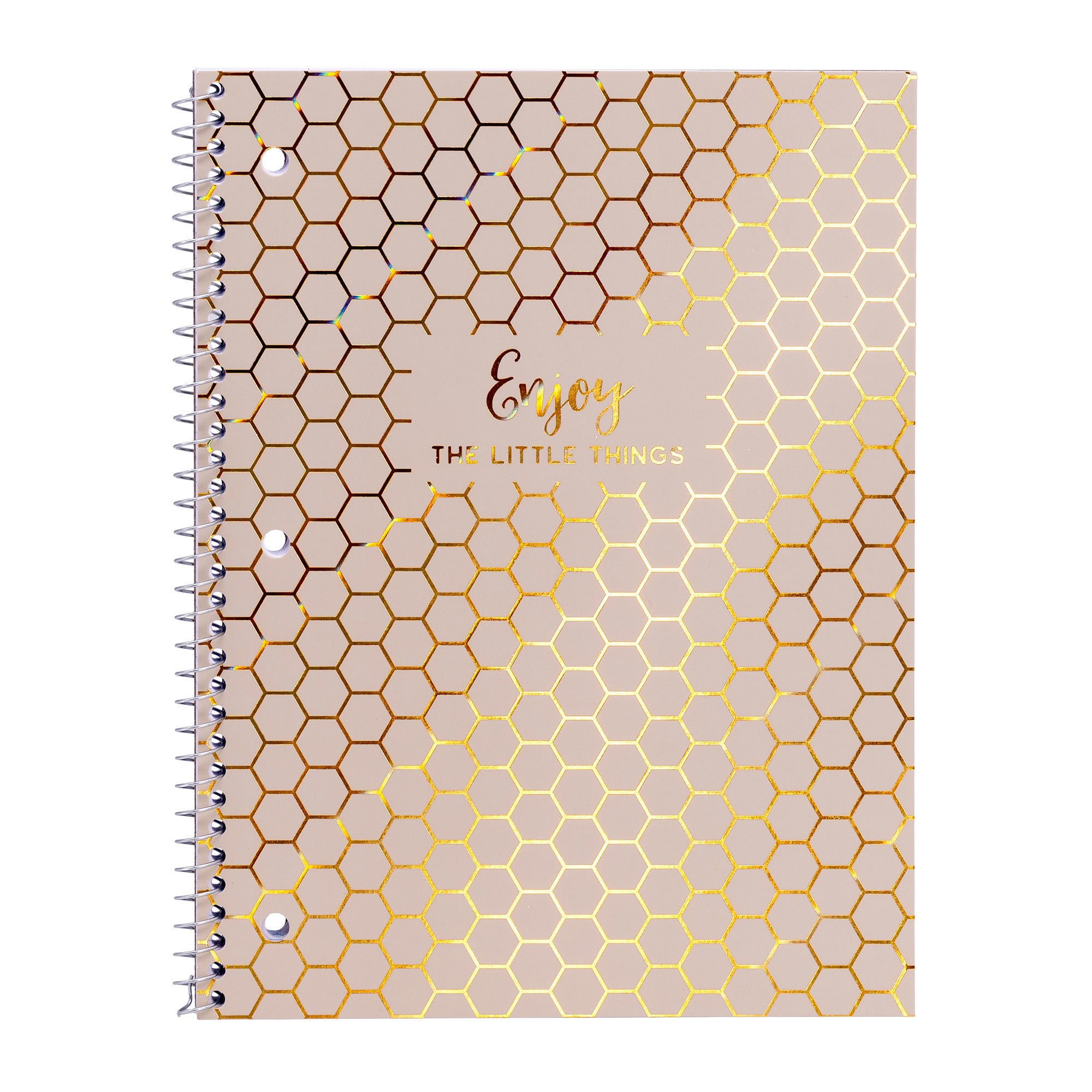 Pukka Pads Haze 1-Subject Notebooks, 4 Packs of 3