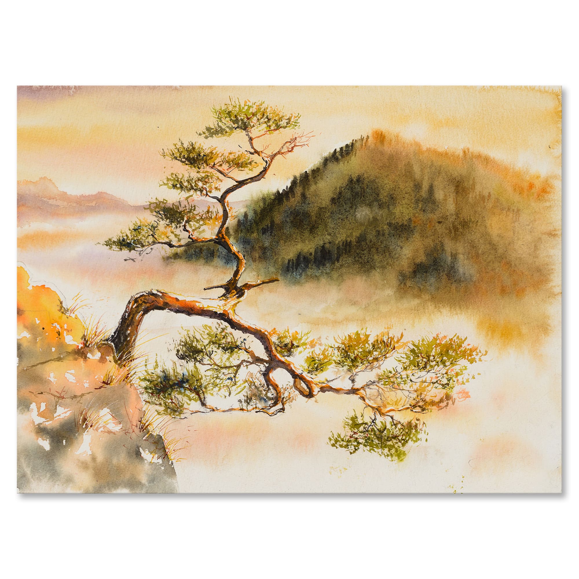 Designart - Curved Pine Tree On The Top of Sokolica Peak