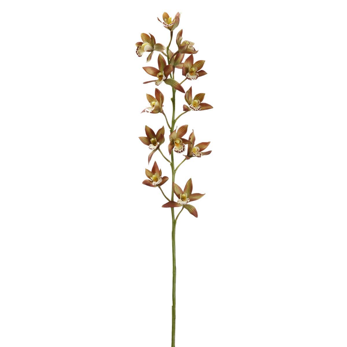 8 Pack: Rust Red Boat Orchid Spray by Ashland®