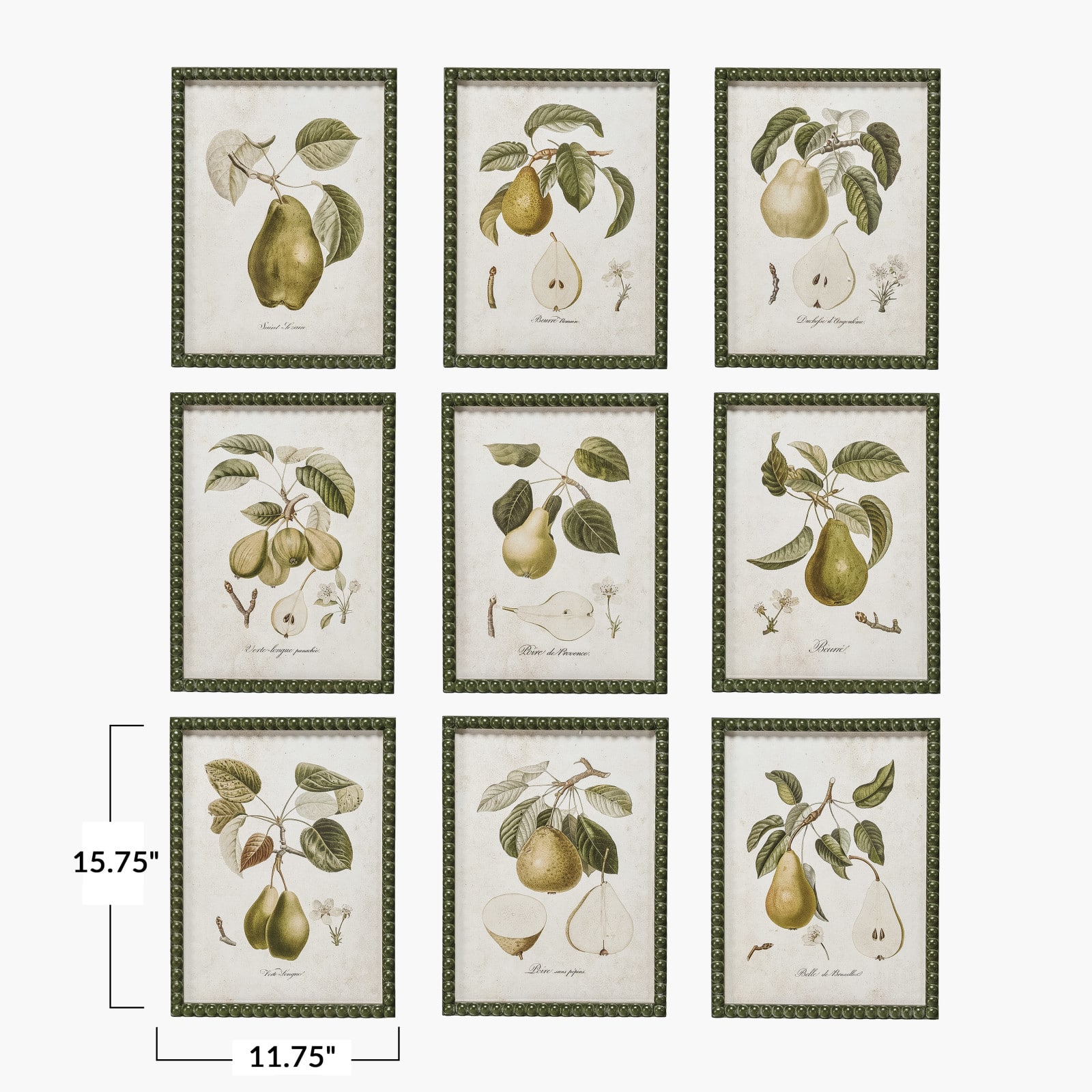 Hello Honey® 11.75" x 15.75" Orchard Essence Pear Print Collection Wall Art Set