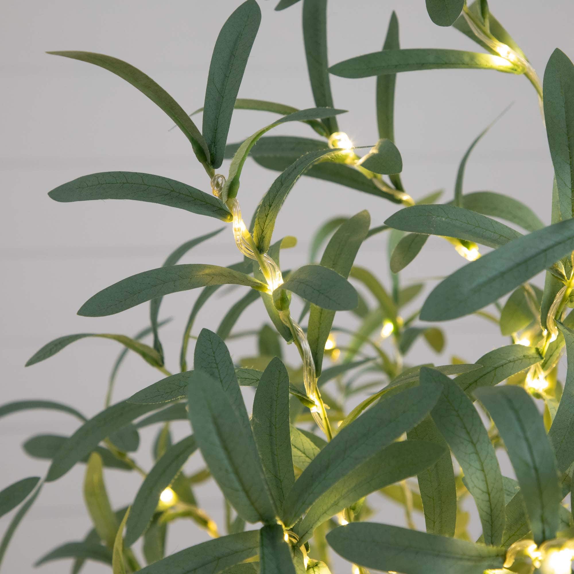 5ft. Pre-Lit Artificial Olive Tree with Warm White LED Lights