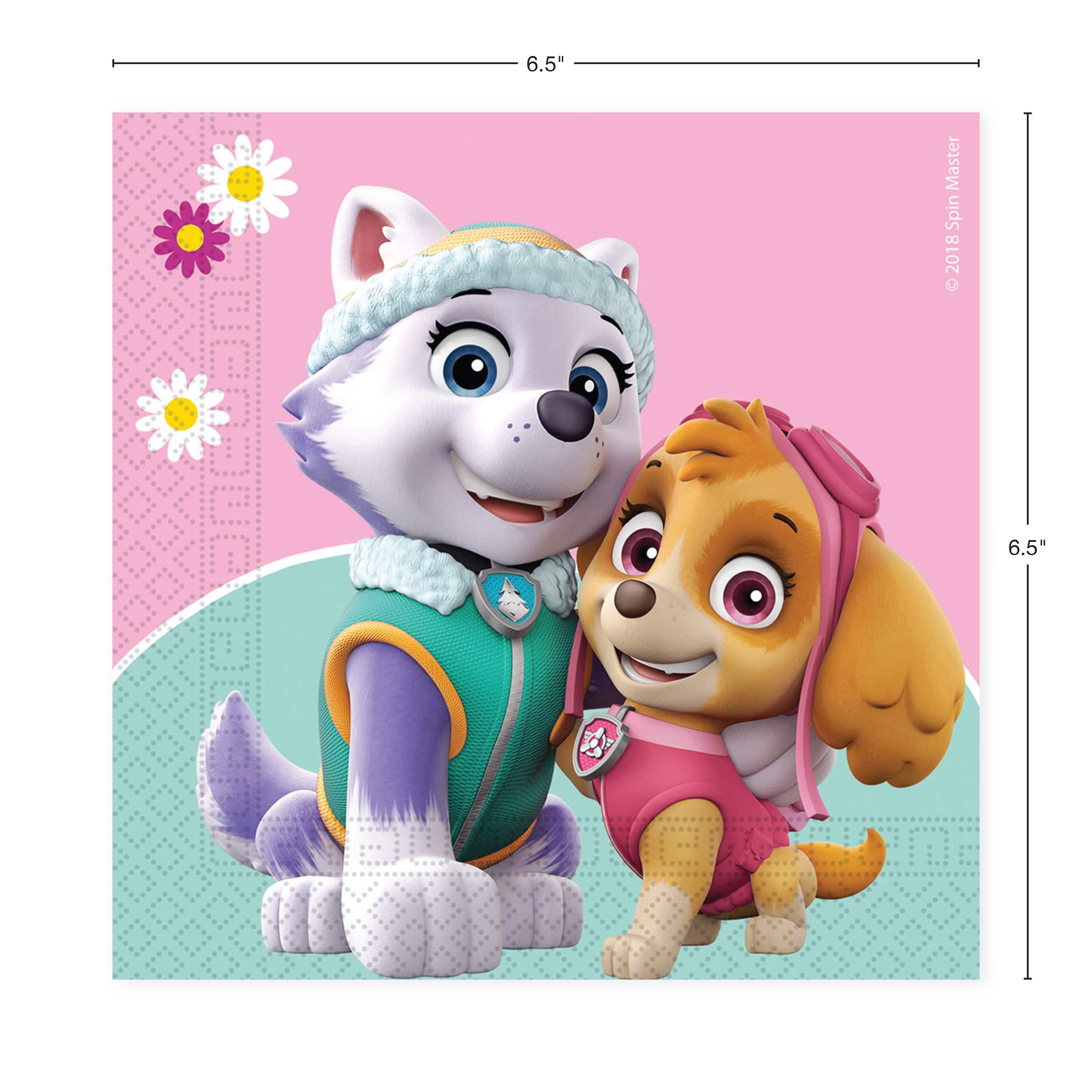 Paw Patrol Skye & Everest Party Kit