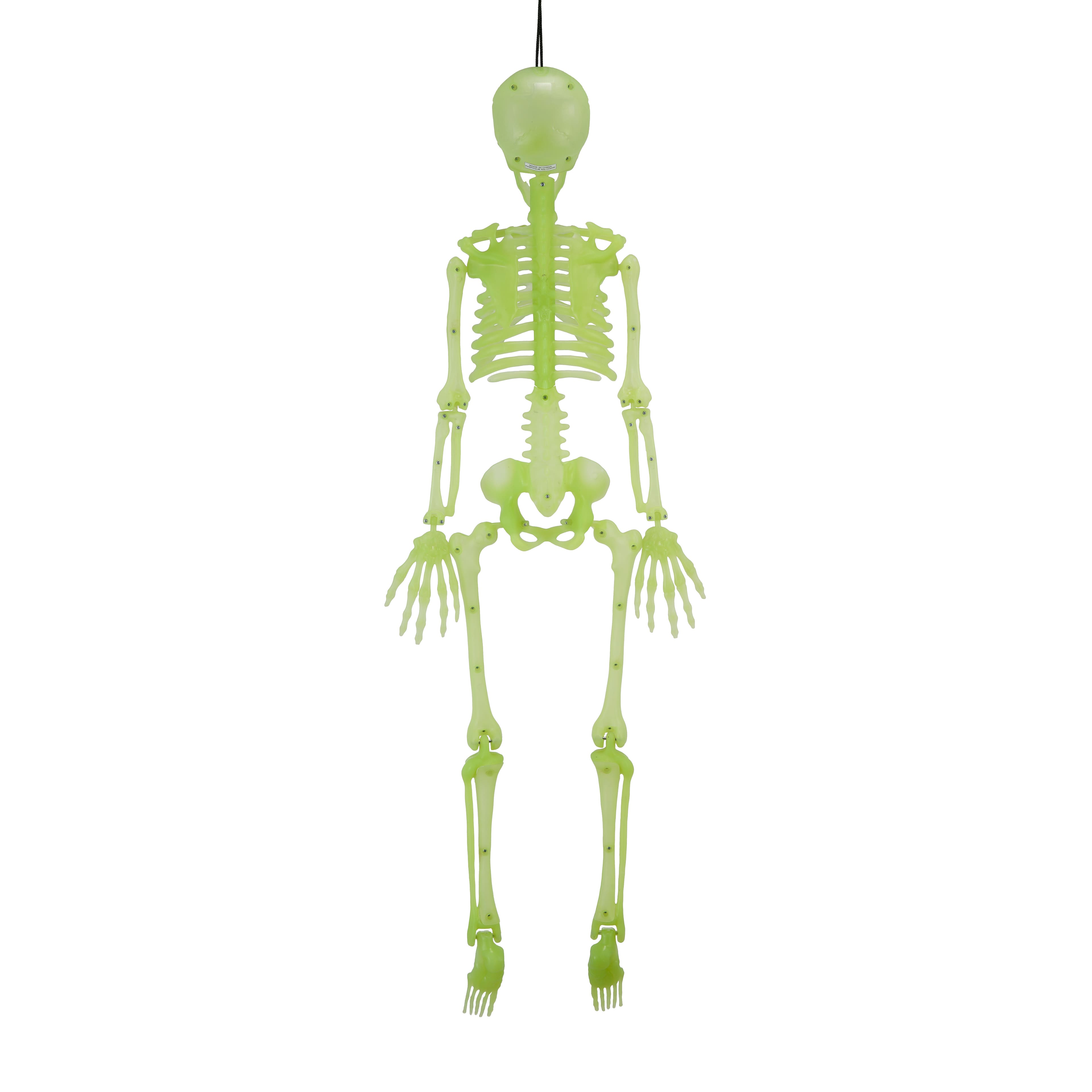 35.8" Glow-in-the-Dark Skeleton by Ashland®