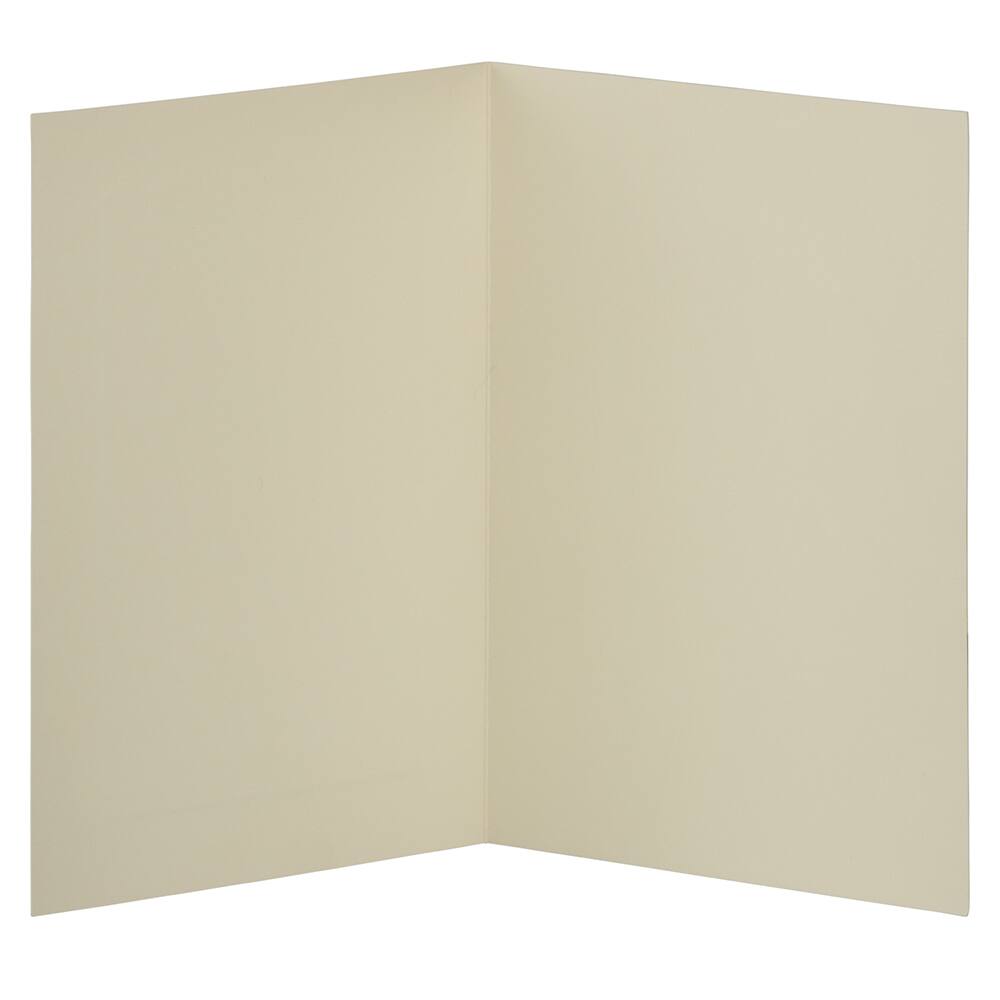 JAM Paper 4.62" x 6.25" Ivory Panel Blank Foldover Cards