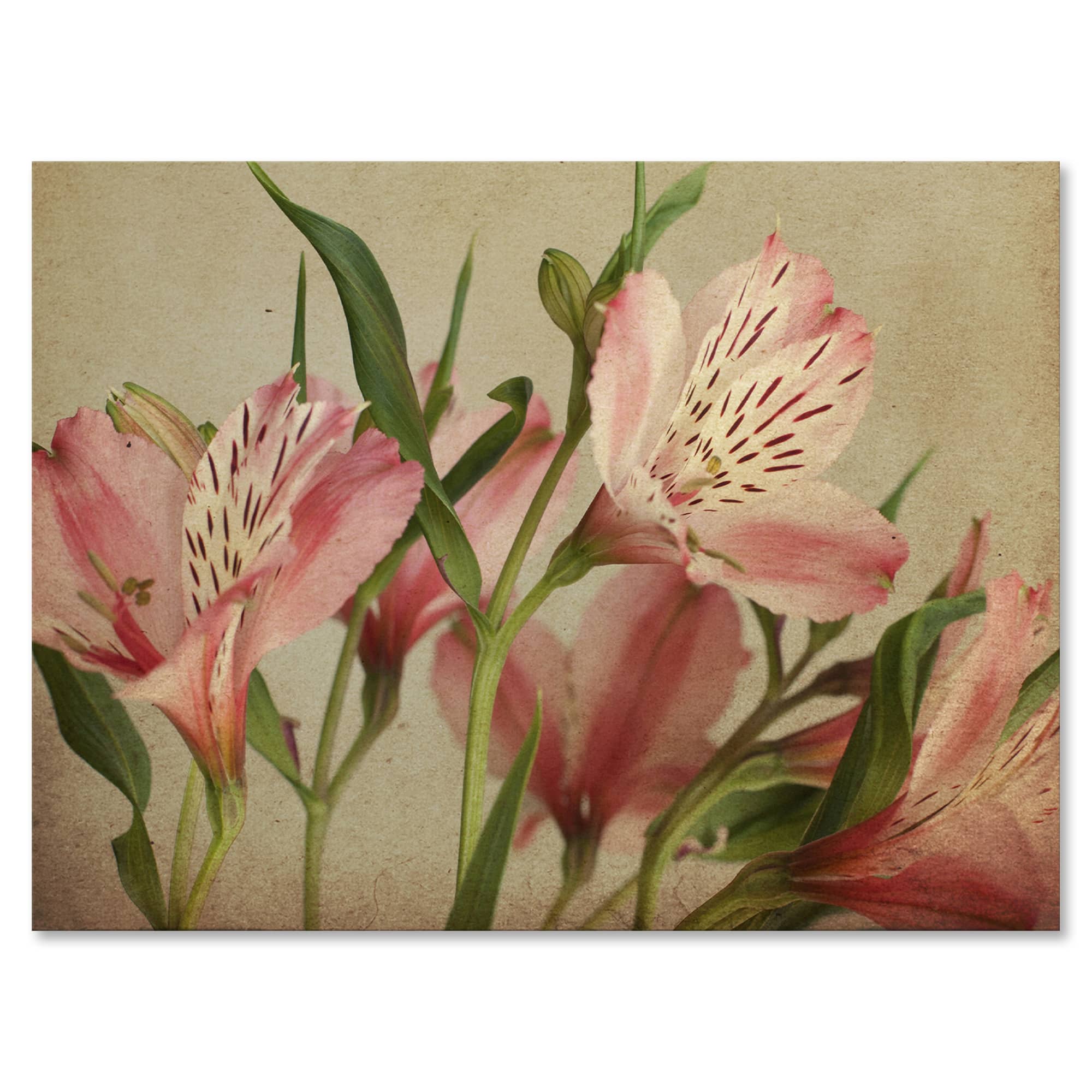 Designart - Retro Alstroemeria Flower