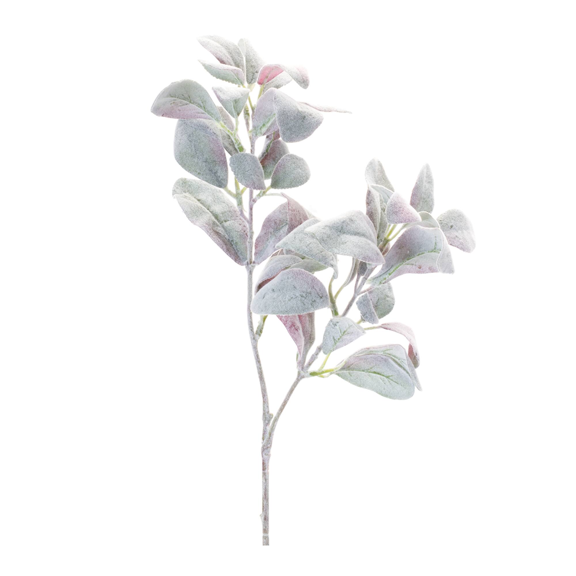 37.5" Lamb's Ear Leaf Bushes, 6ct.