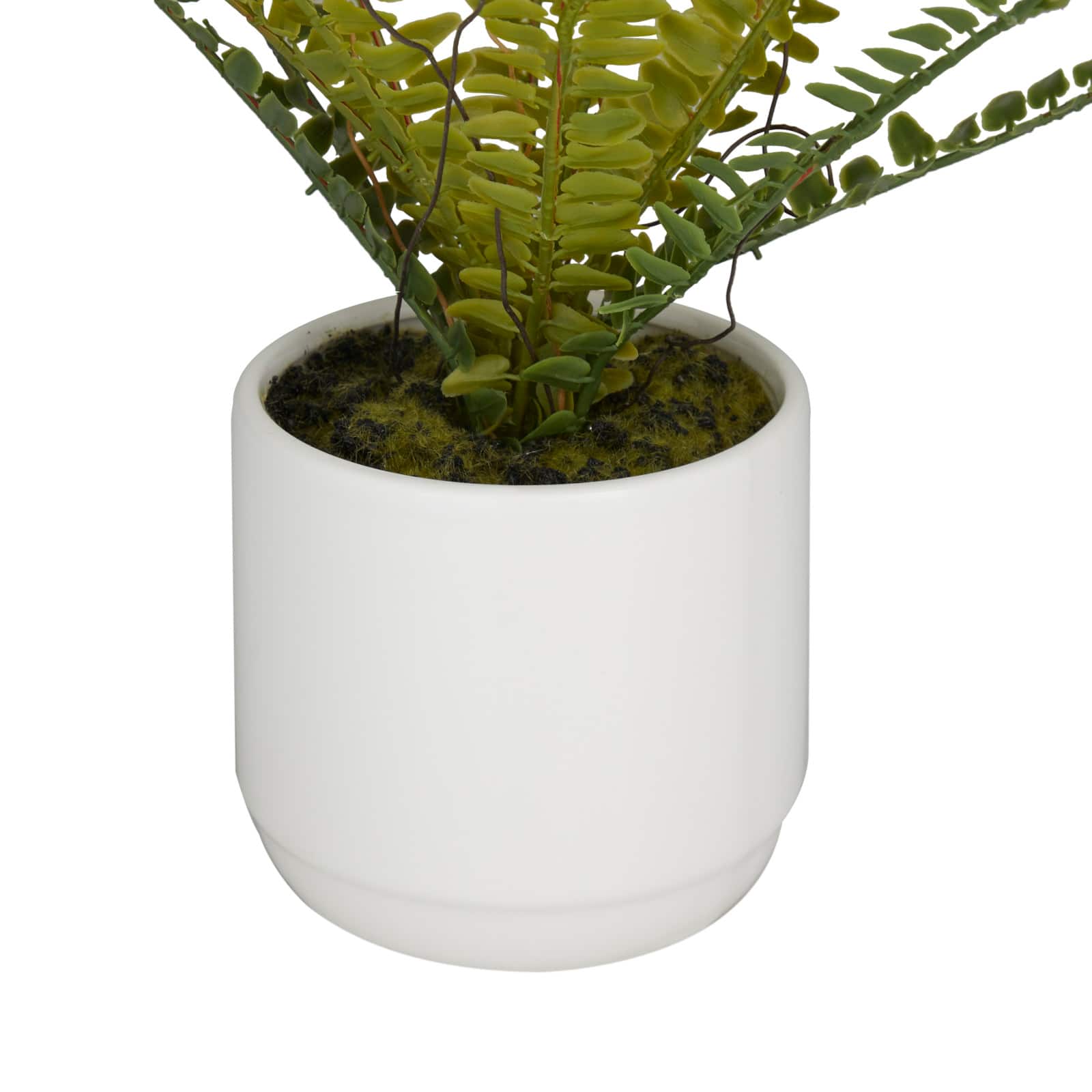 Green Ceramic Contemporary Artificial Foliage, 12" x 15" x 10"