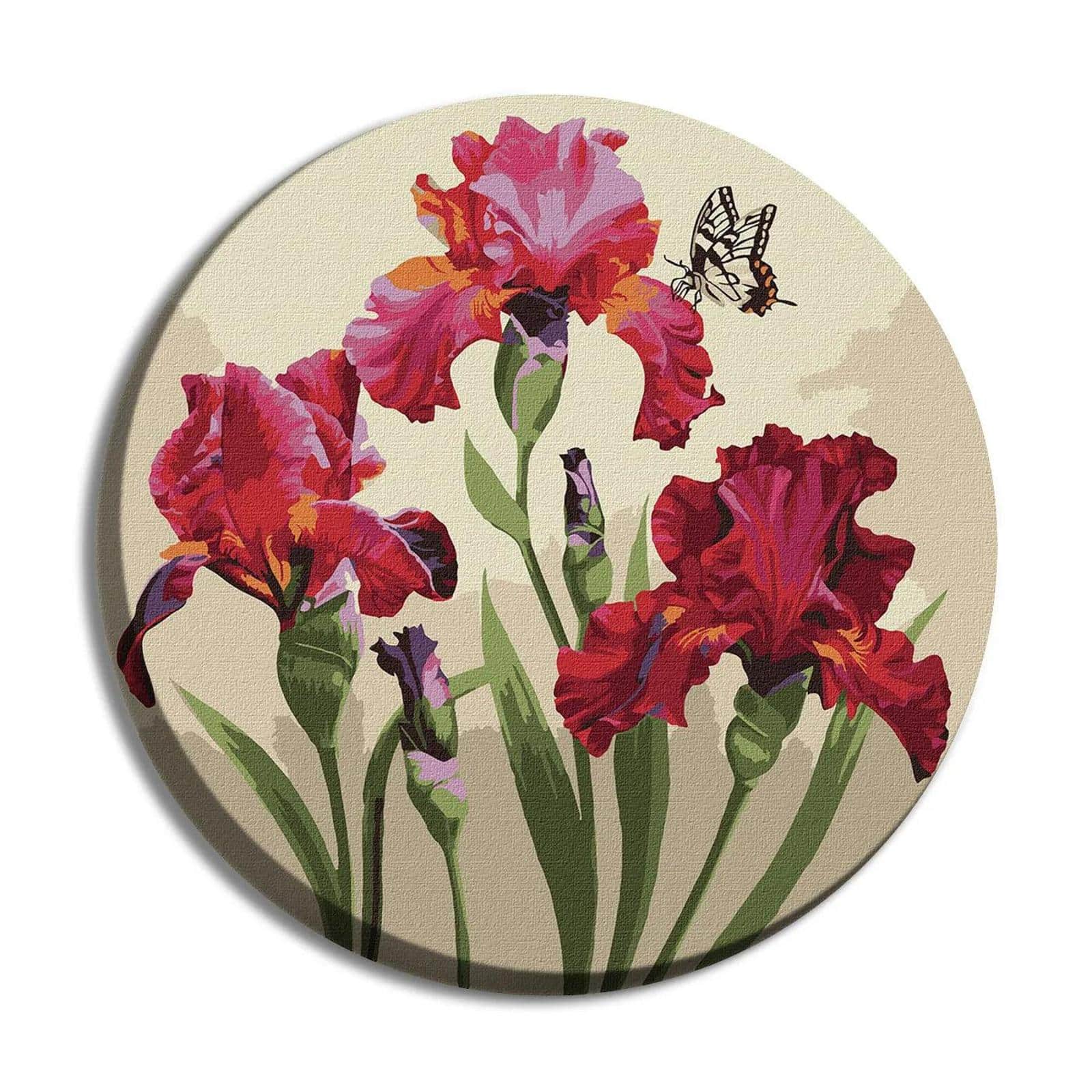 Ideyka Exquisite Irises Painting by Numbers Kit
