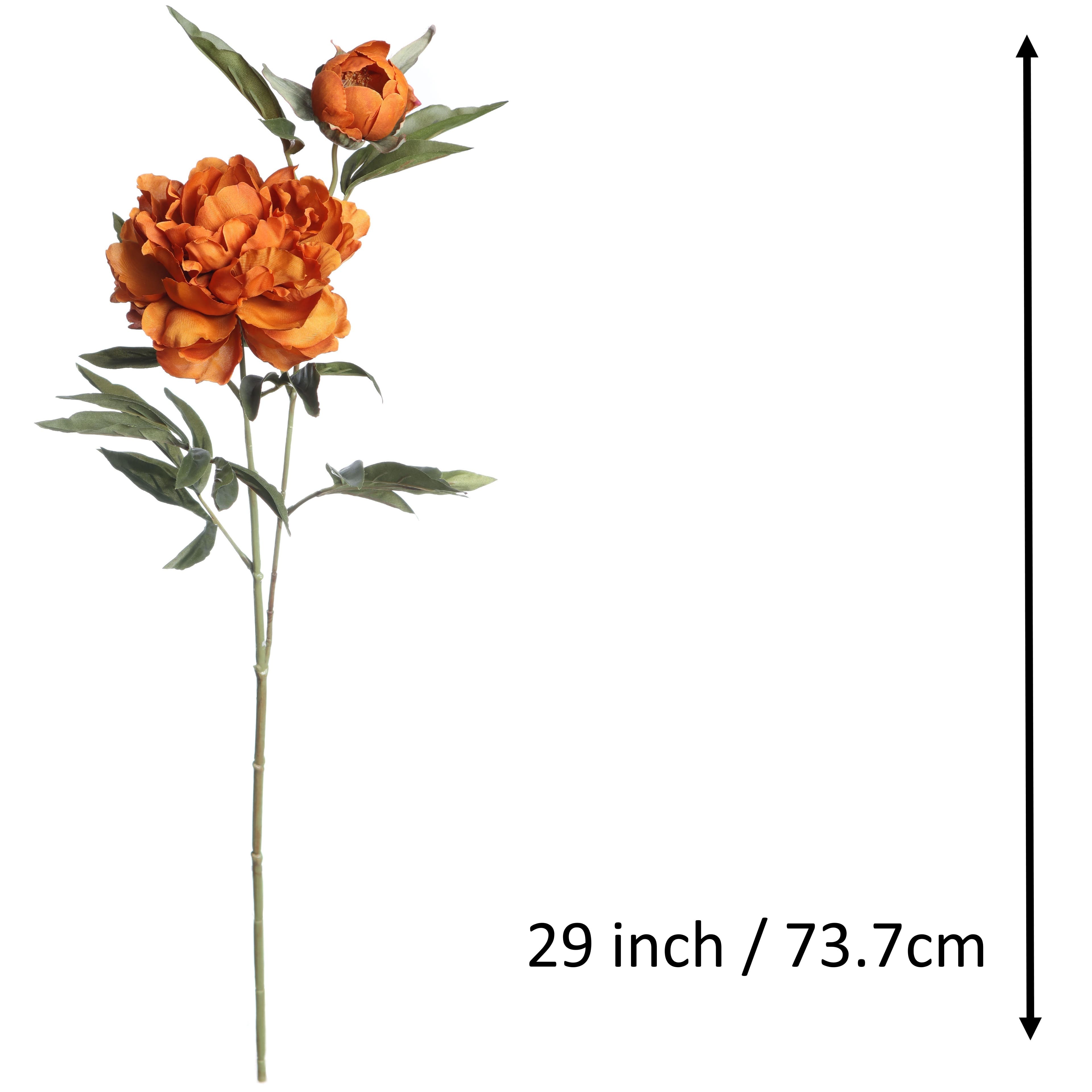 29" Orange Peony Stem by Ashland®