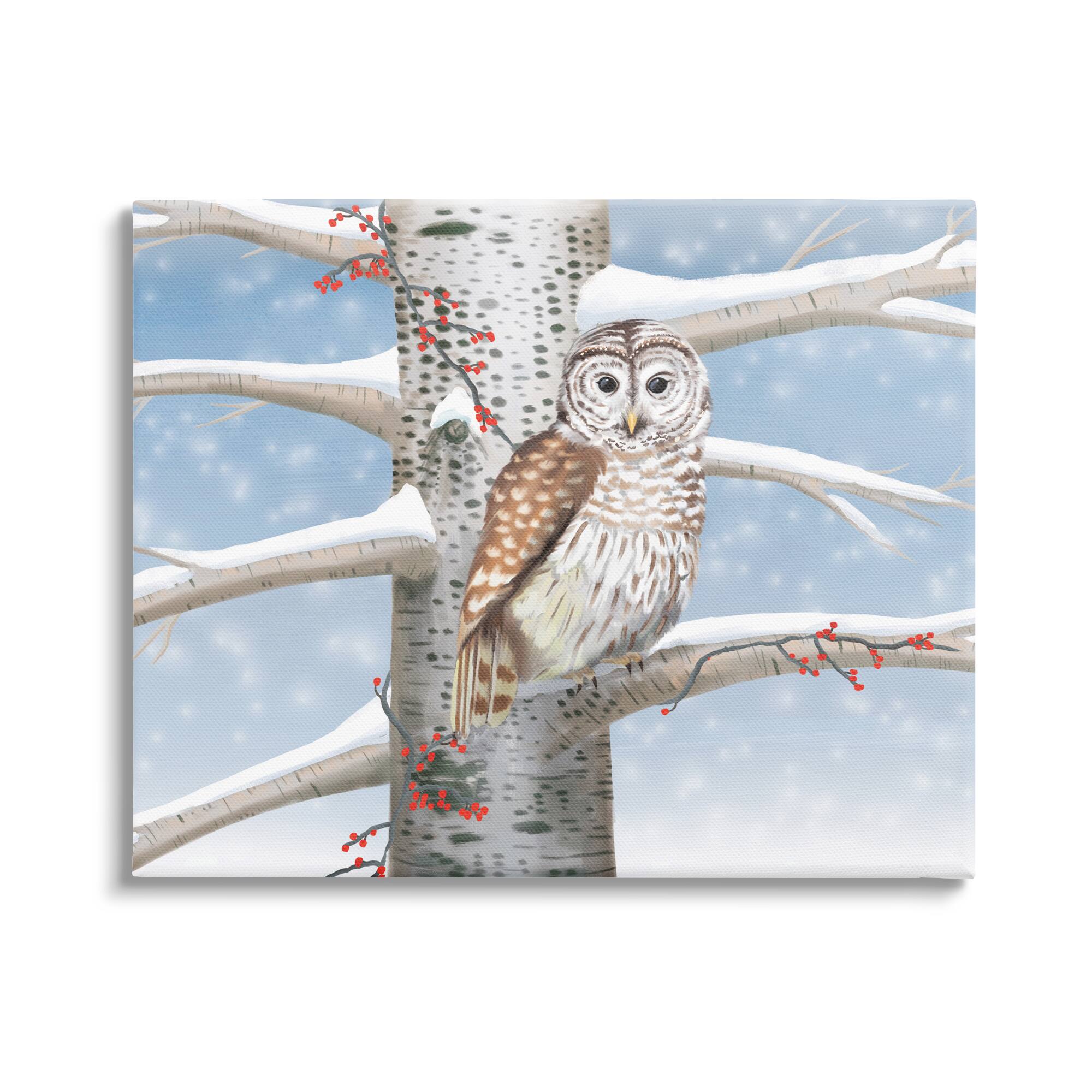 Stupell Industries Snowy Birch Tree Owl Canvas Wall Art