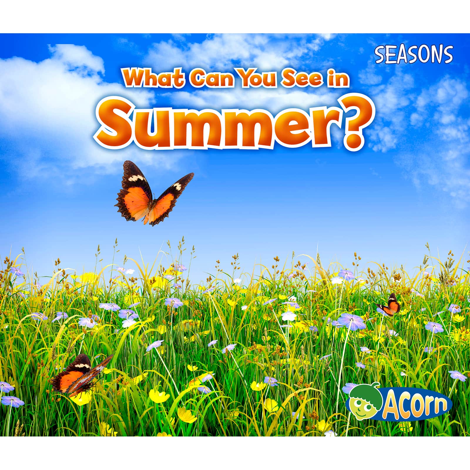 Capstone Press Seasons 4 Book Set