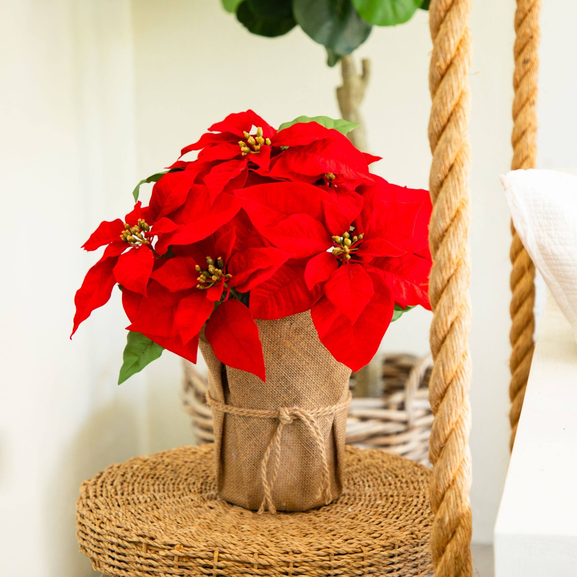 Nearly Natural 13" Artificial Red Velvet Poinsettia Arrangement in Burlap Planter