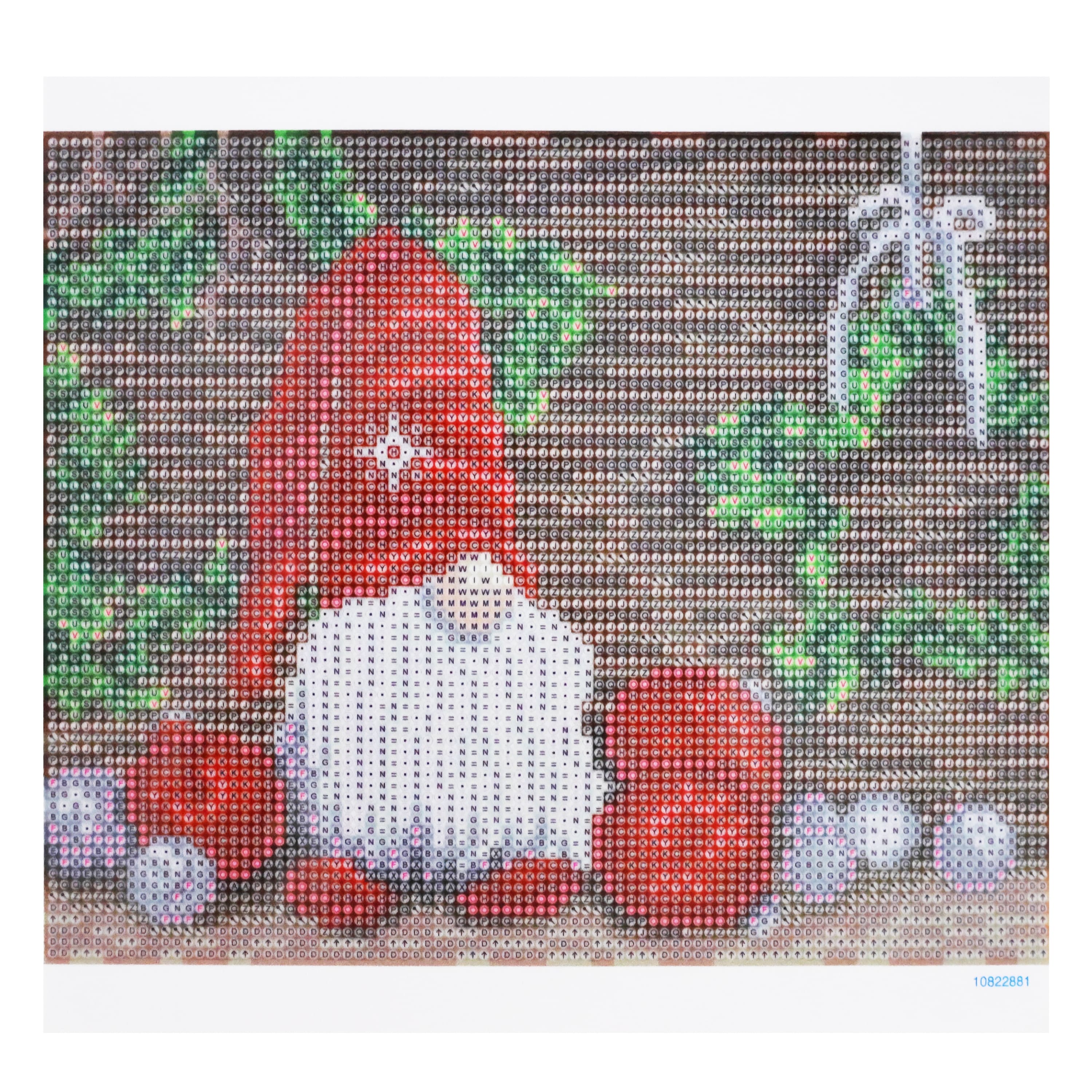 8" x 10" Gnome Diamond Art Kit with Magnetic Wood Frame by Make Market®