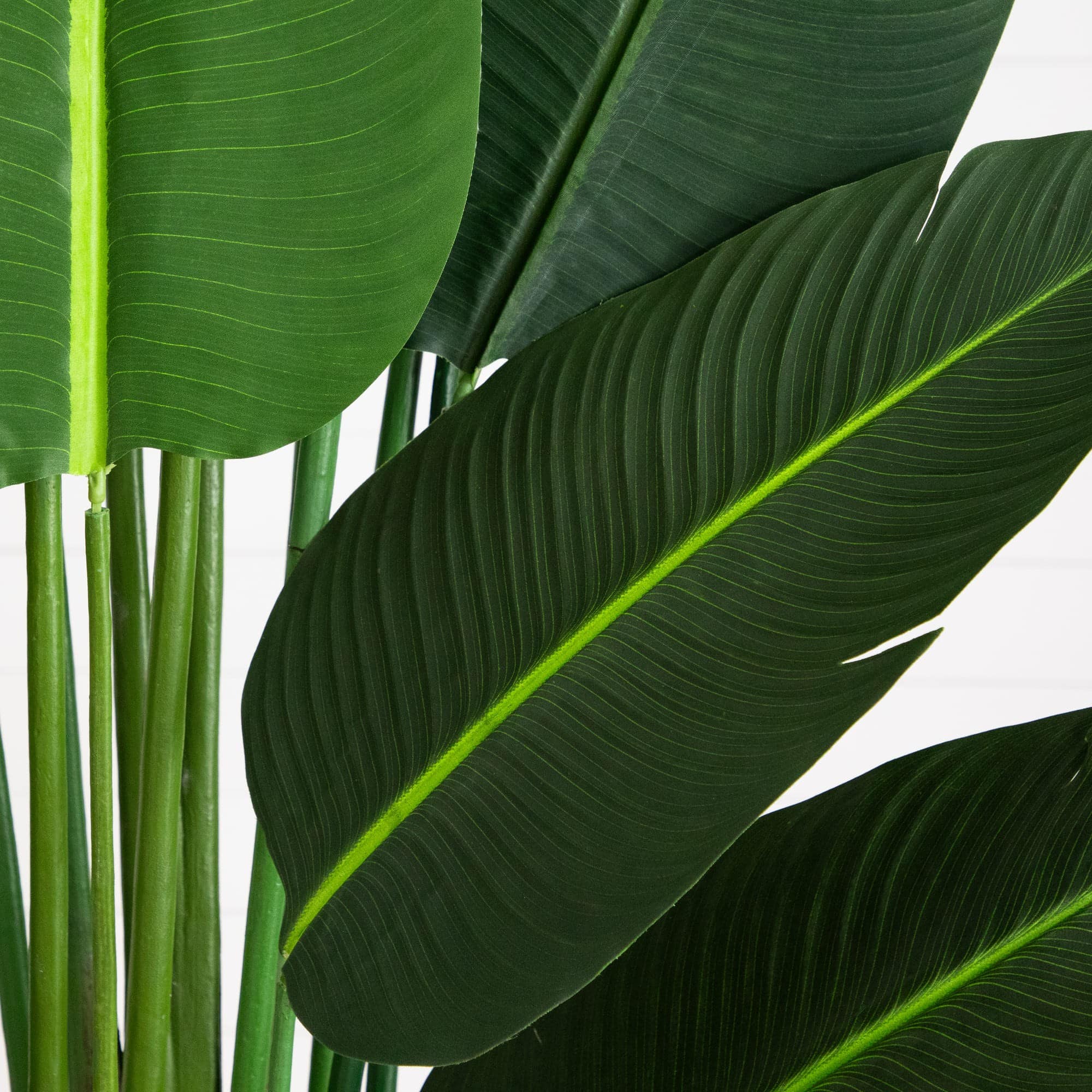 11ft. Artificial Travelers Palm Tree
