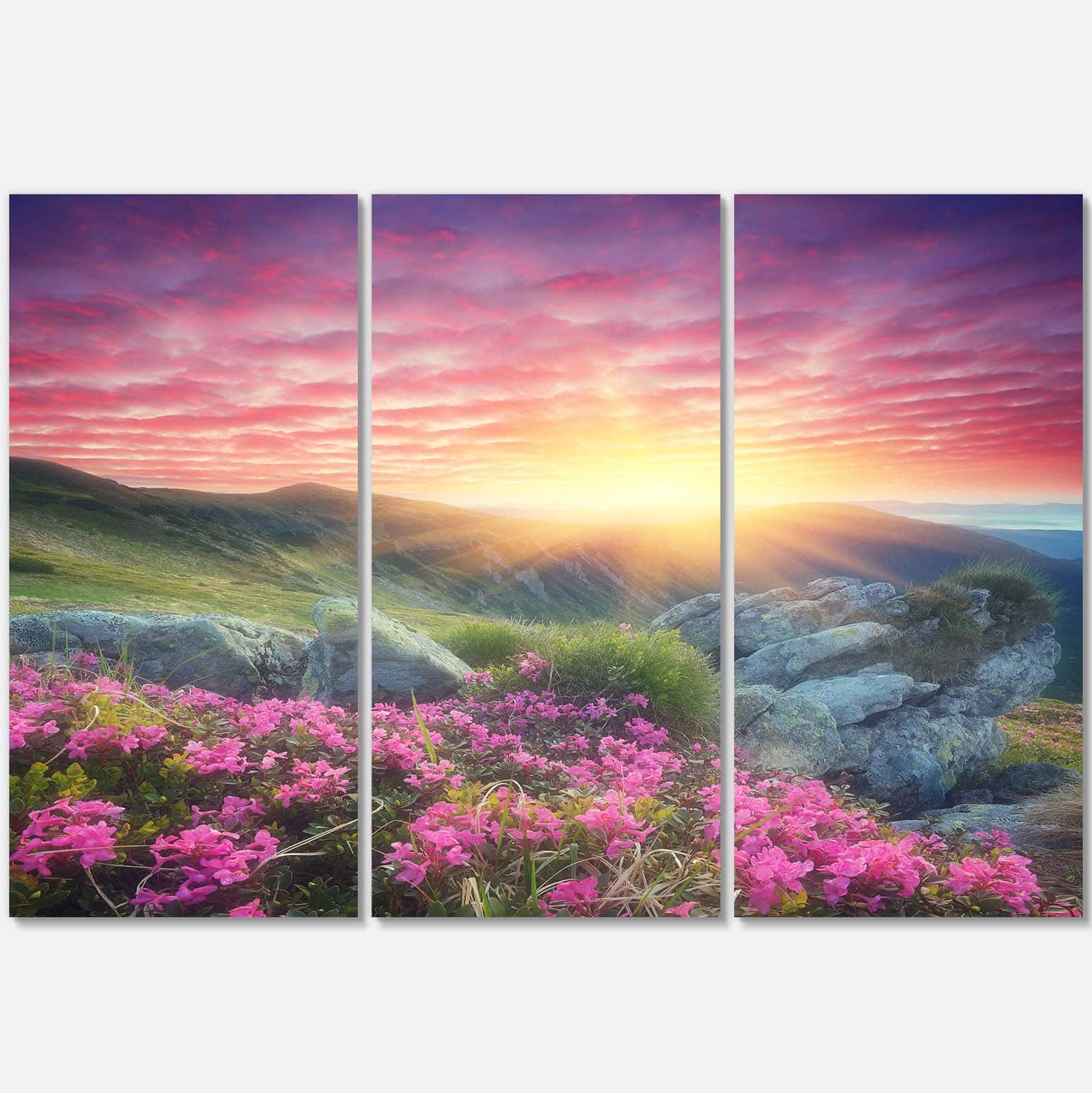 Designart - Morning with Flowers in Mountains