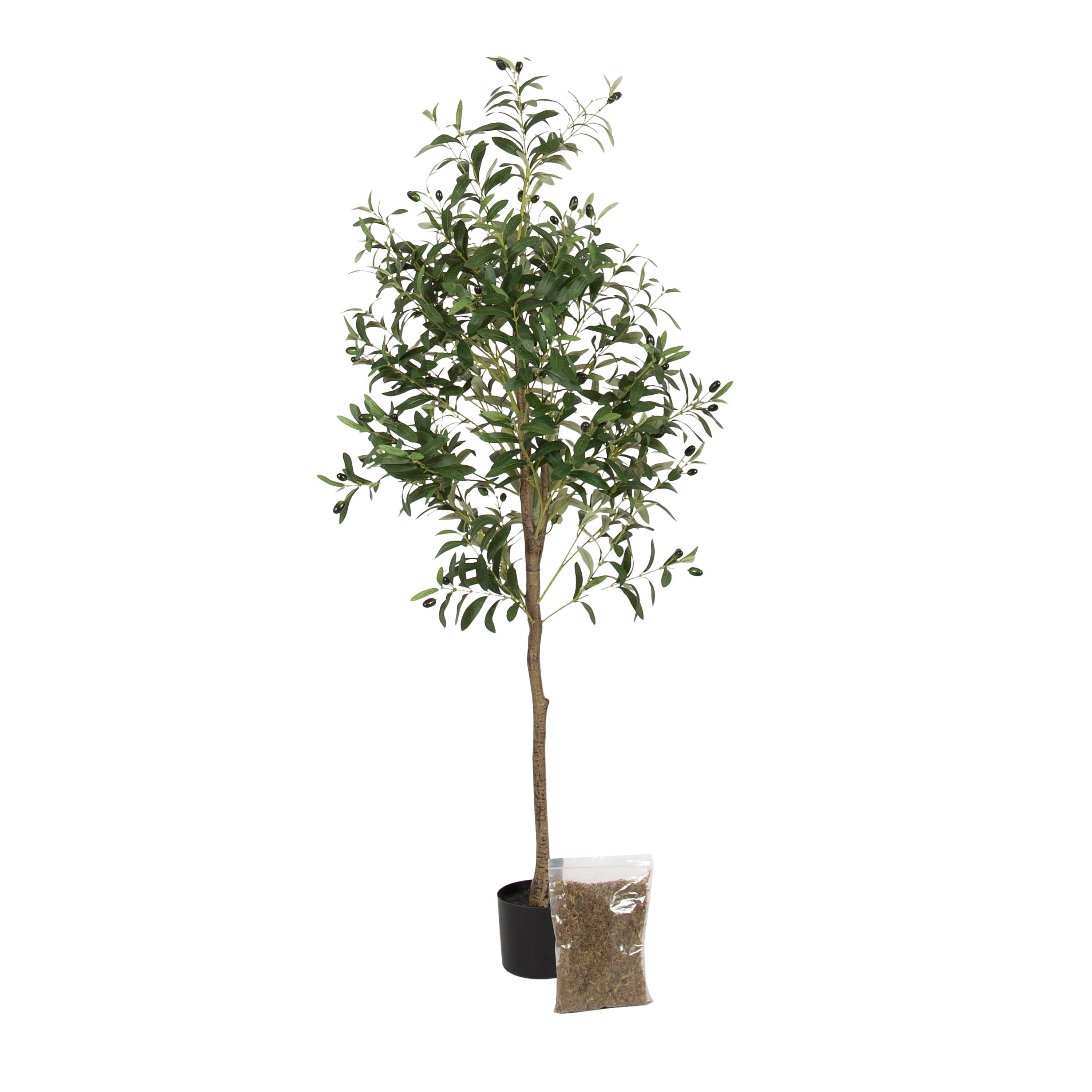 Kate and Laurel 5ft. Green Oliveira Faux Olive Tree