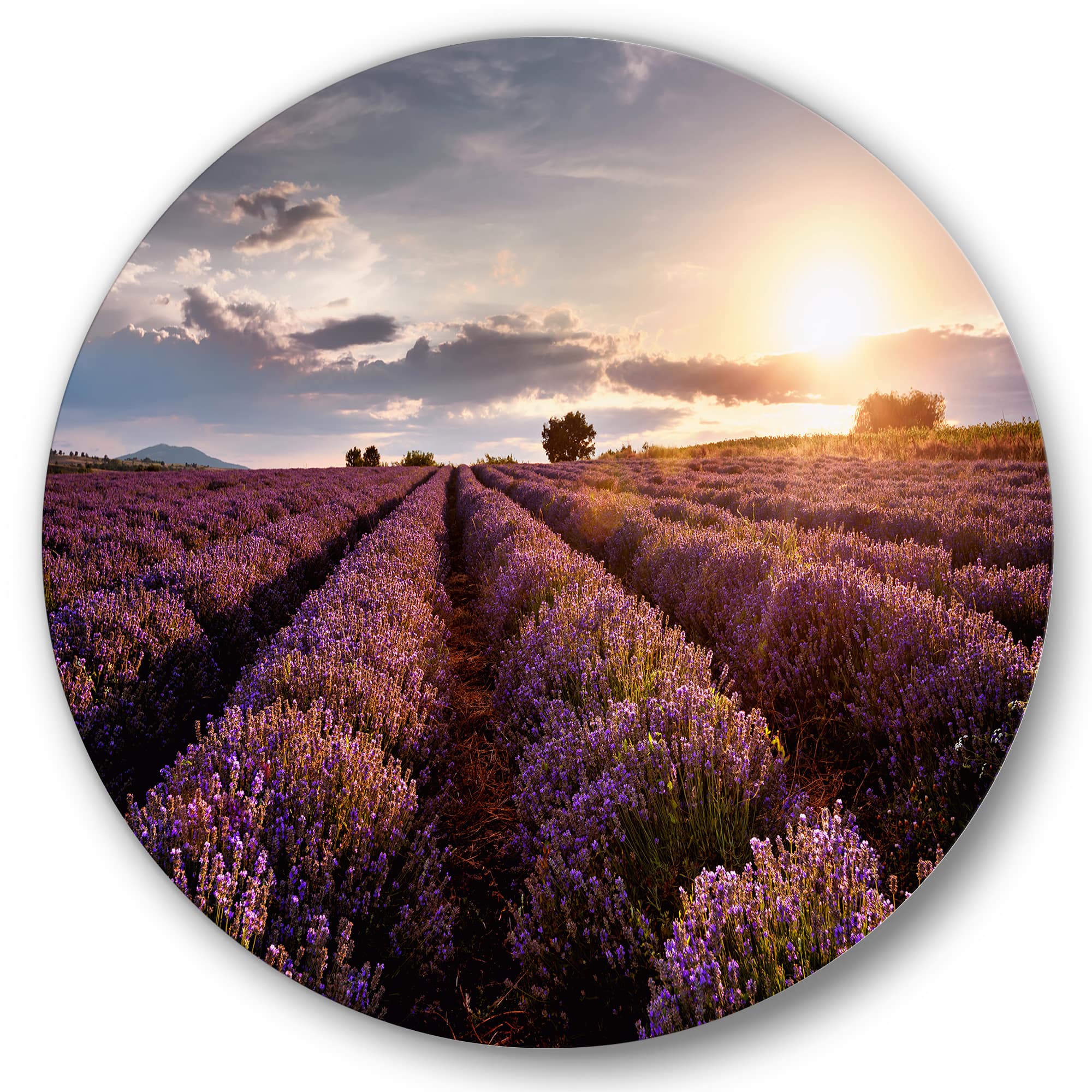 Designart - Sunrise & Dramatic Clouds Over Lavender Field V - Farmhouse Metal Circle Wall Art