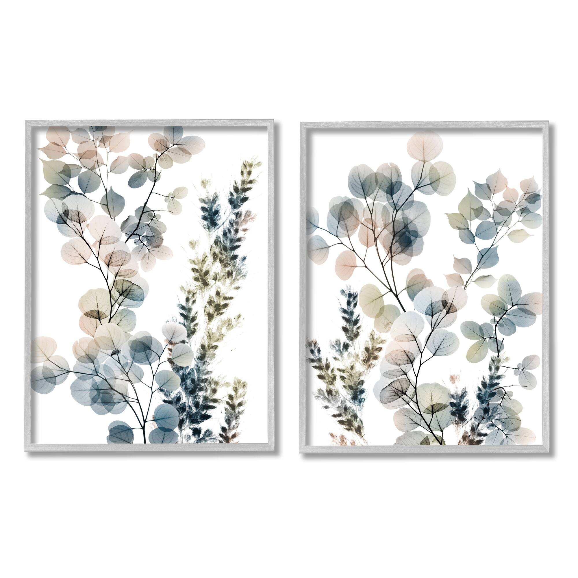 Stupell Industries Collage of Translucent Plants Blue Green Beige in Gray Frame Wall Art