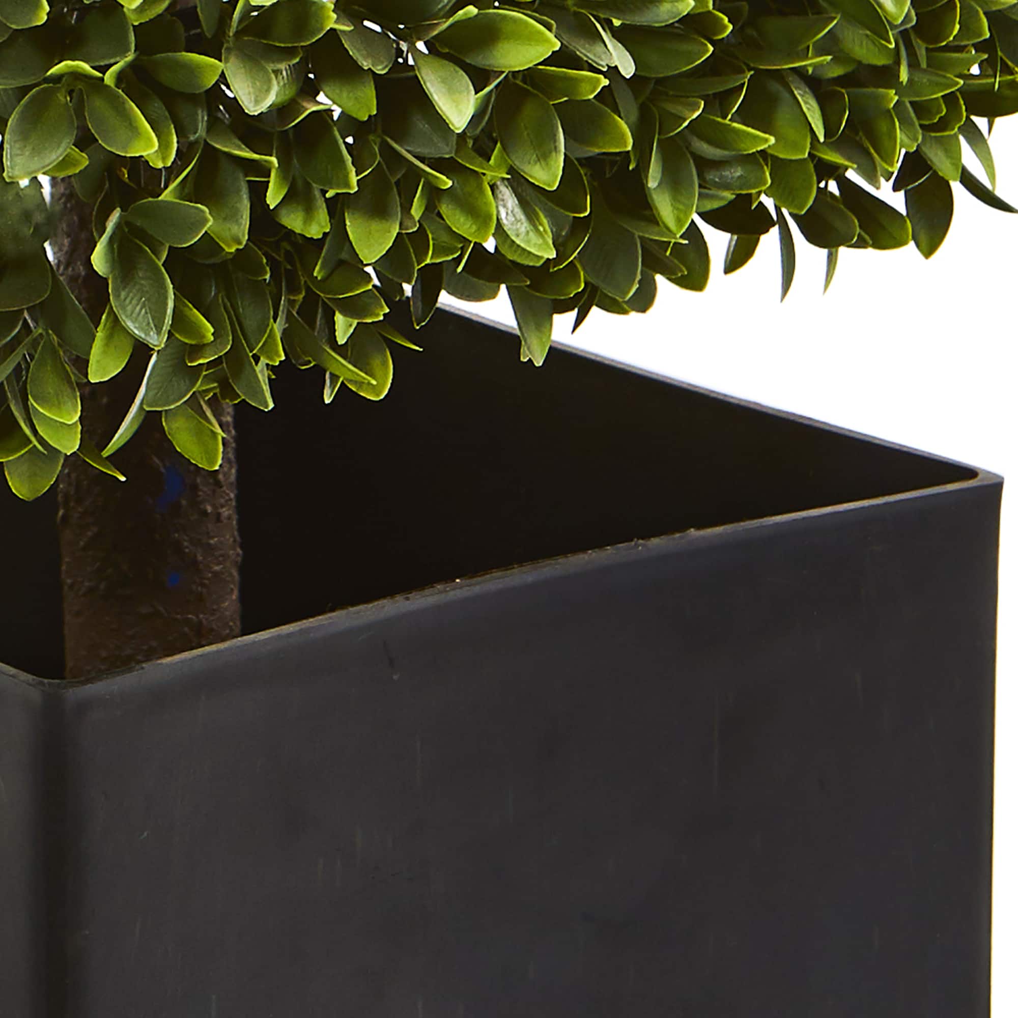 27" Boxwood Artificial Plant in Black Planter