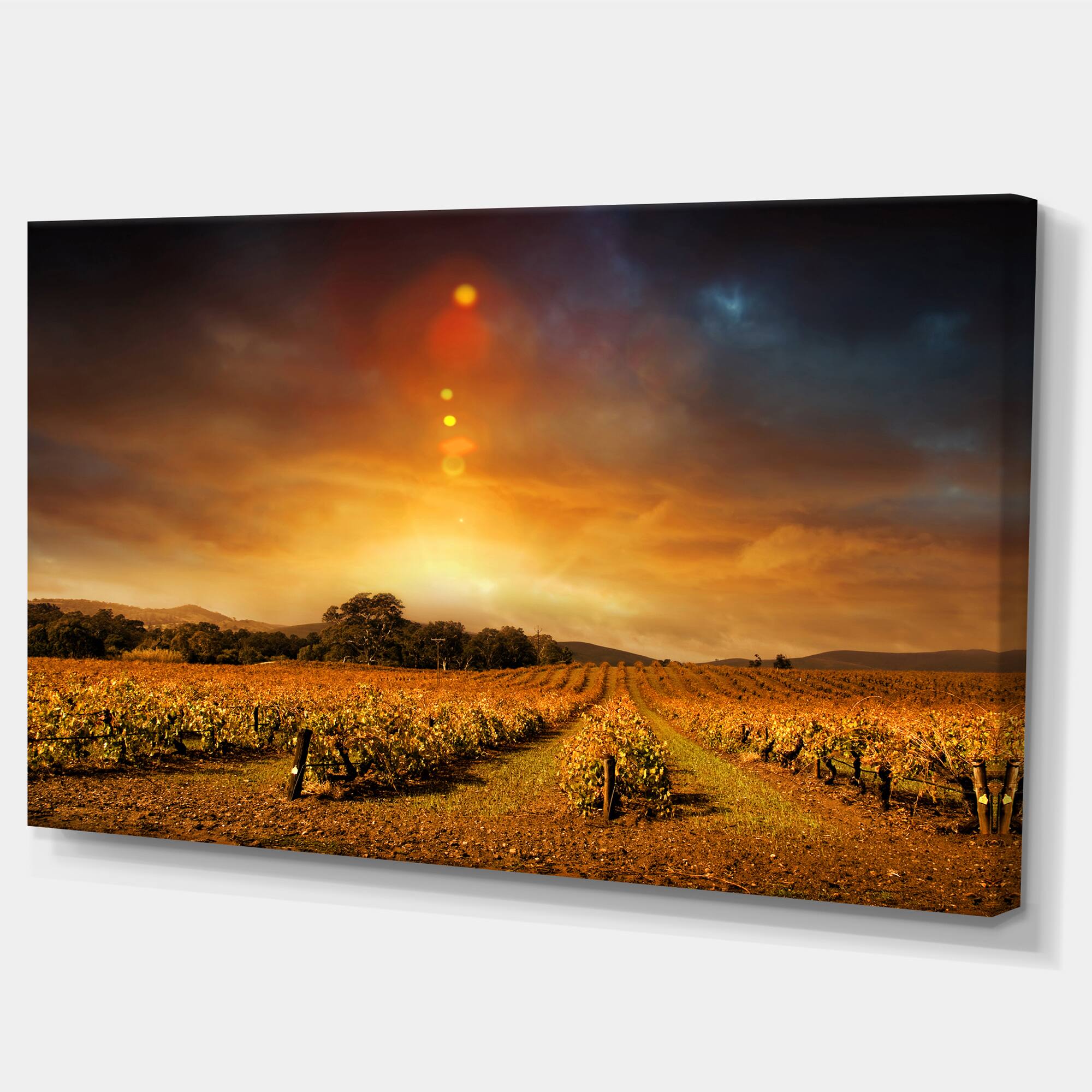 Designart - Yellow Autumn Vineyard Sunset