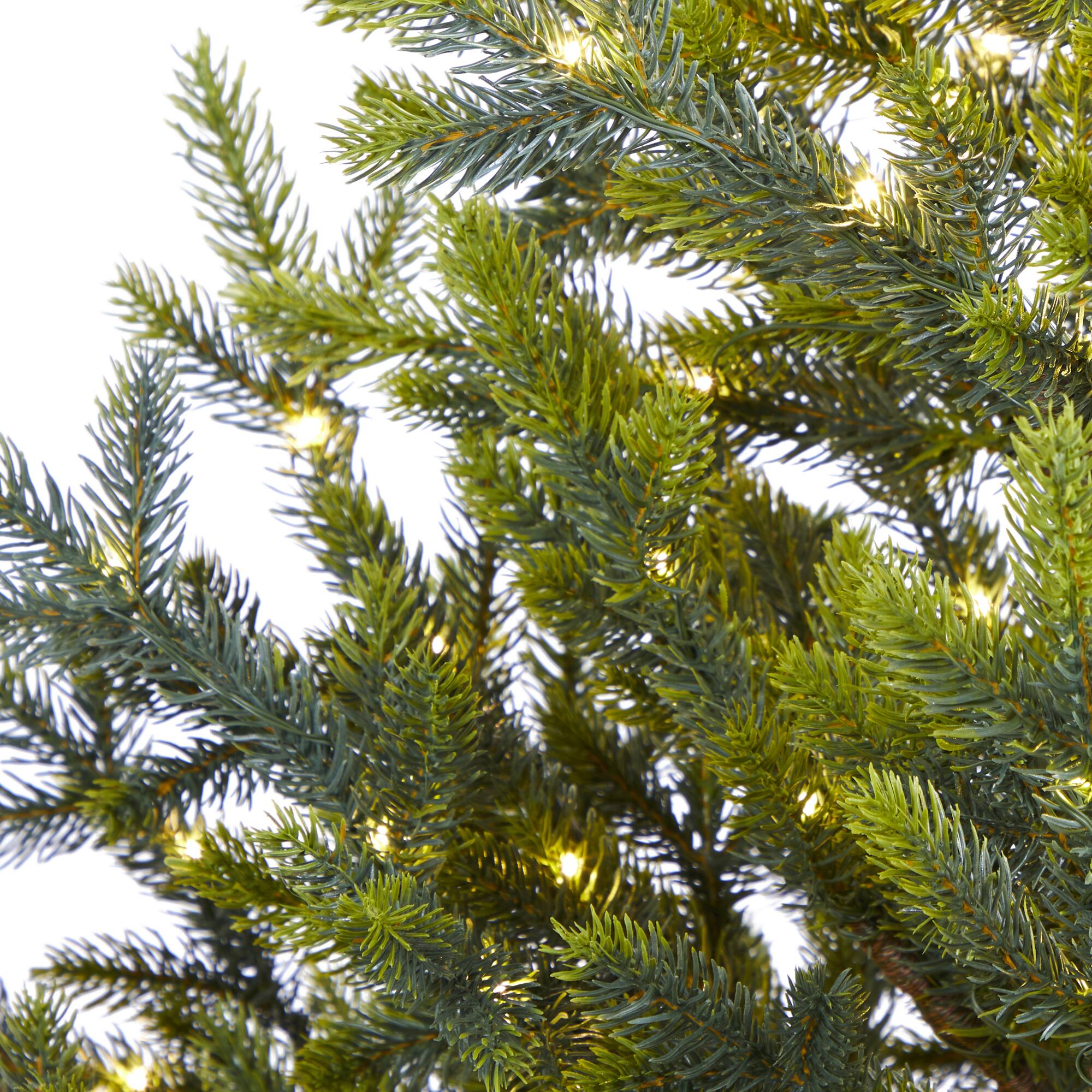 5ft. Pre-Lit Fraser Fir Natural Look Artificial Christmas Tree with Clear LED Lights