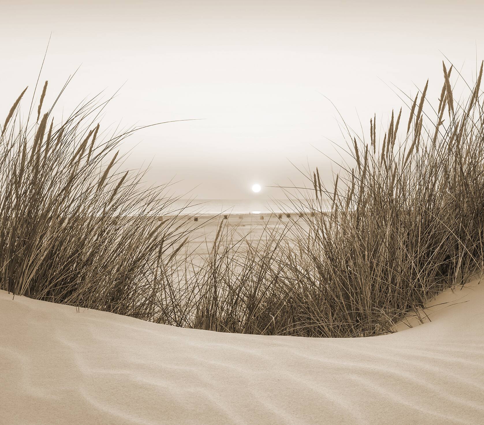 Designs Direct Beach Sunset Wall Mural