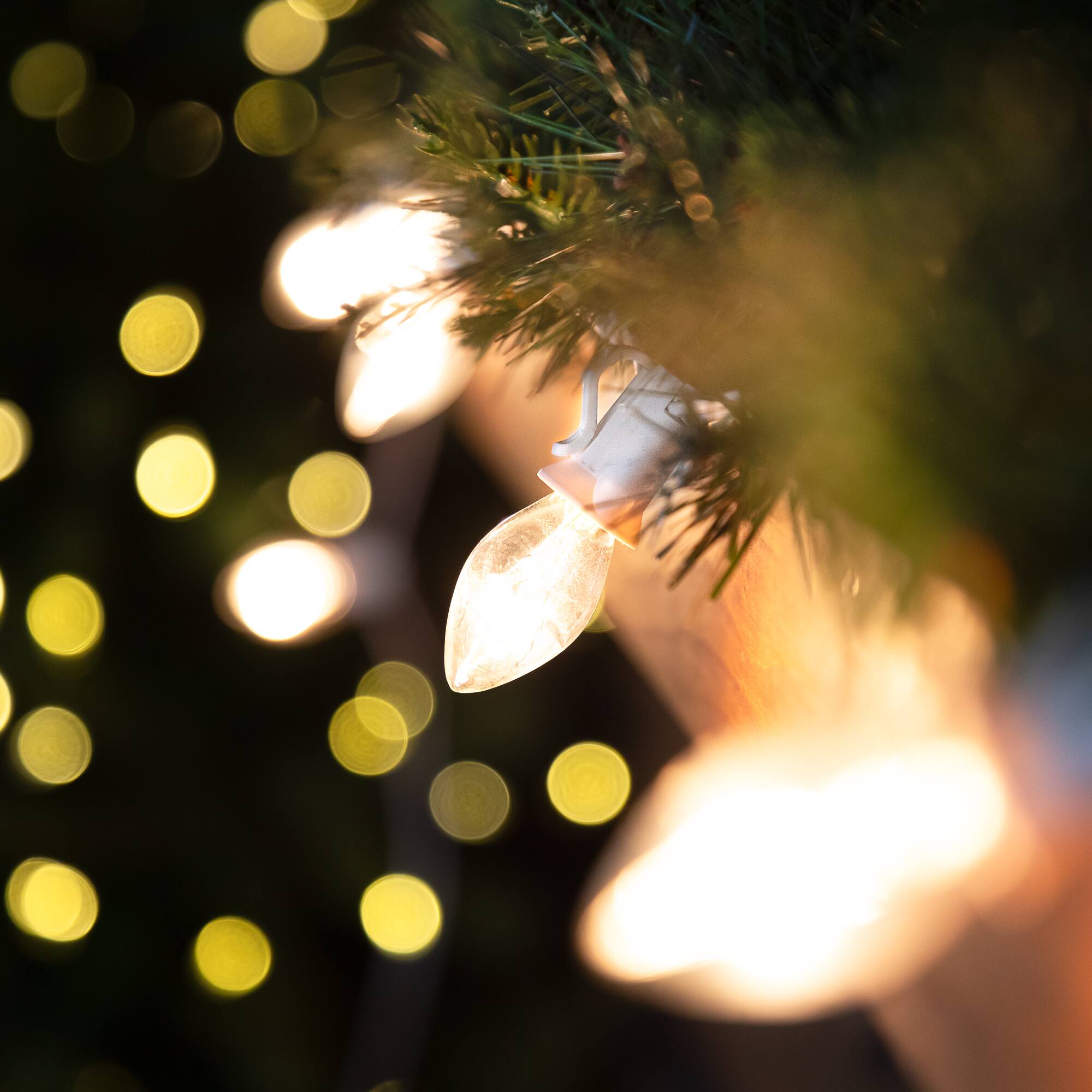 25 Count Clear C7 Christmas Lights  24ft White Wire
