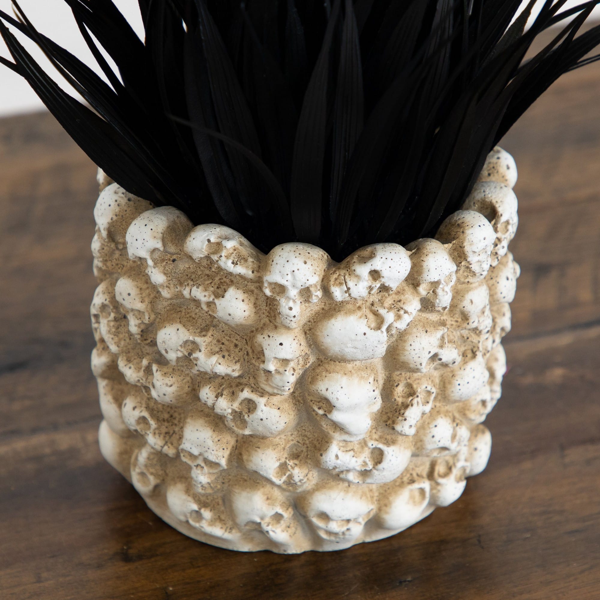 9" Artificial Halloween Black Succulent Plant in Gothic Skull Planter