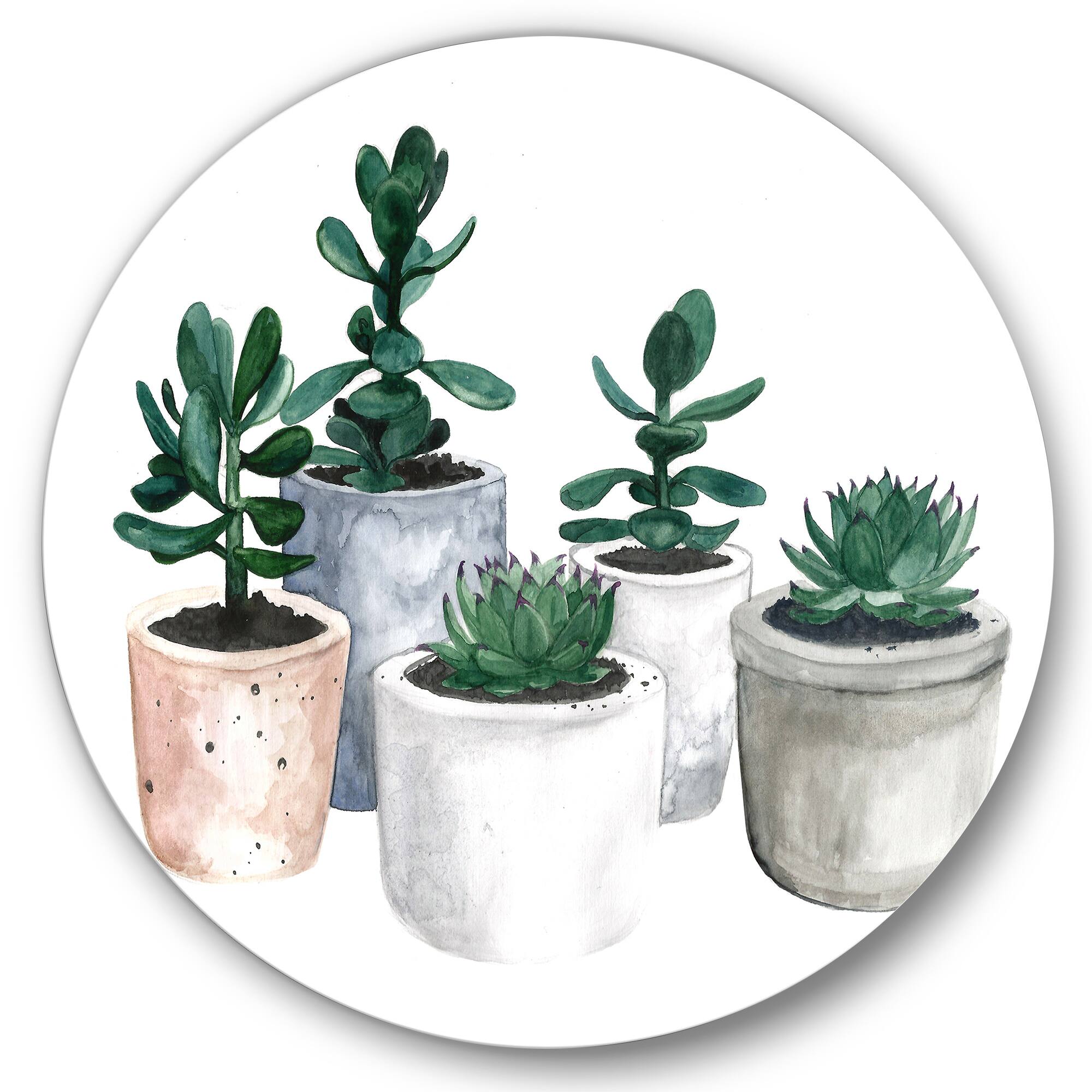Designart - Cactus and Succulent House Plants VI