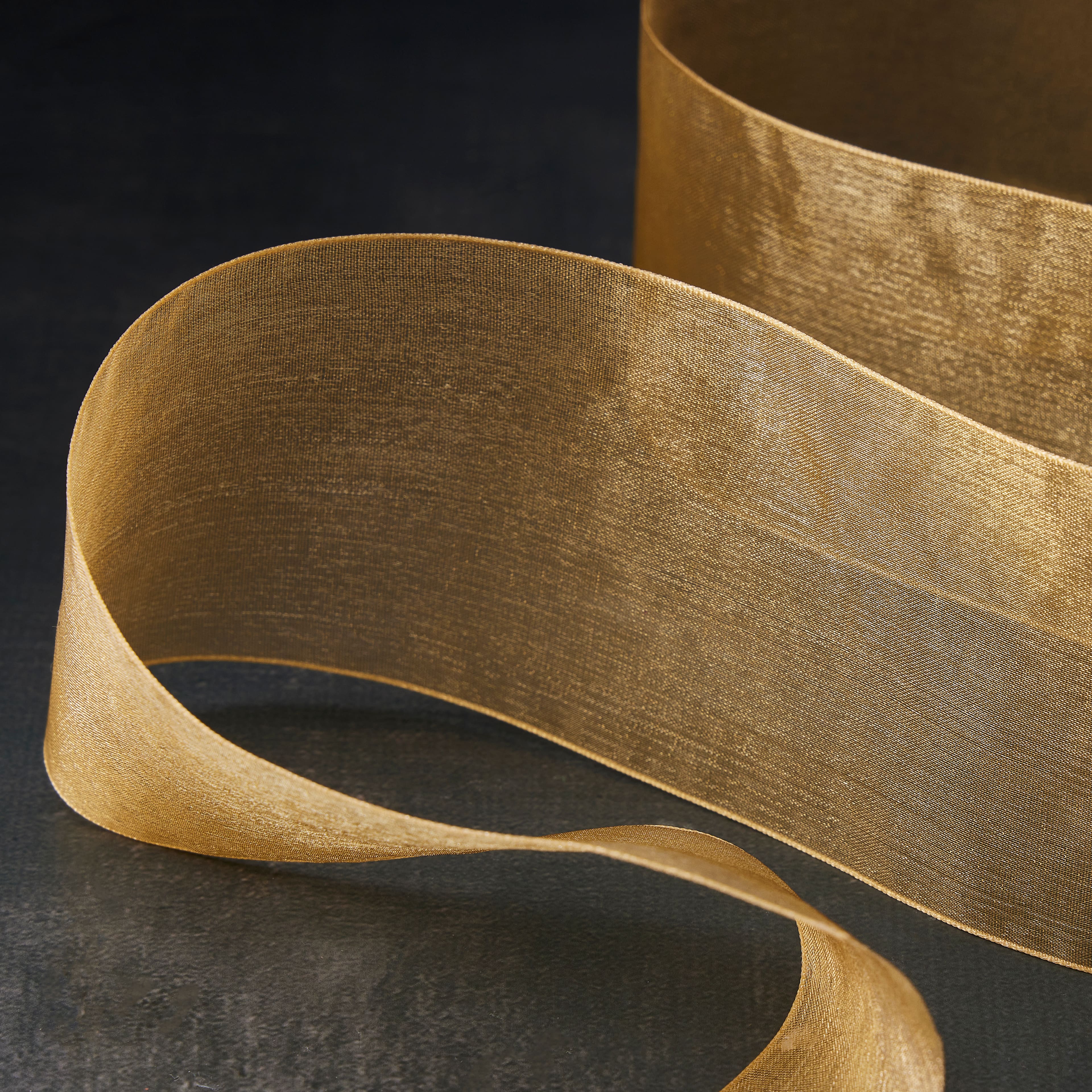 2.5" x 10yd. Sheer Ribbon by Celebrate It® Specialty