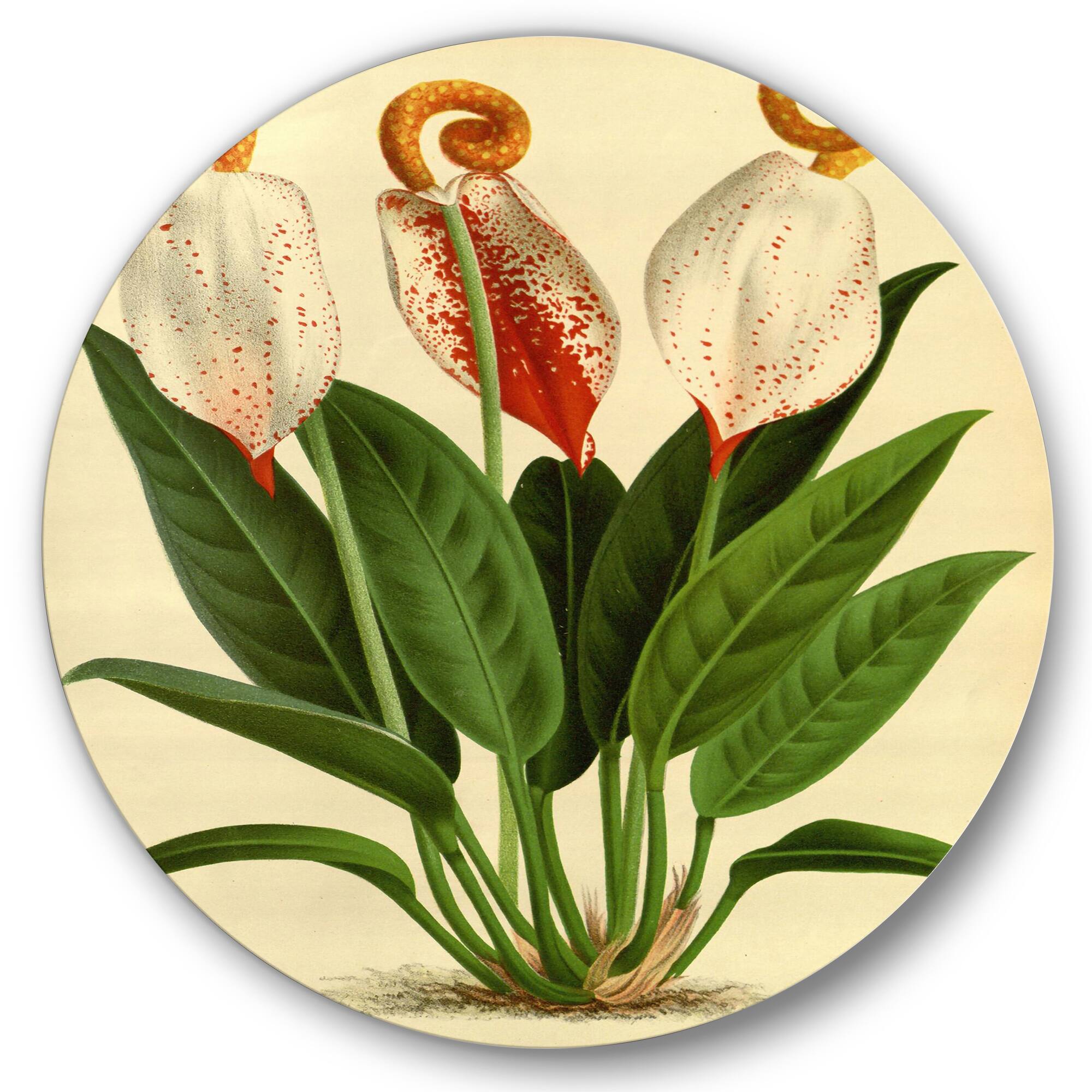 Designart - Retro Flowers I - Farmhouse Metal Circle Wall Art