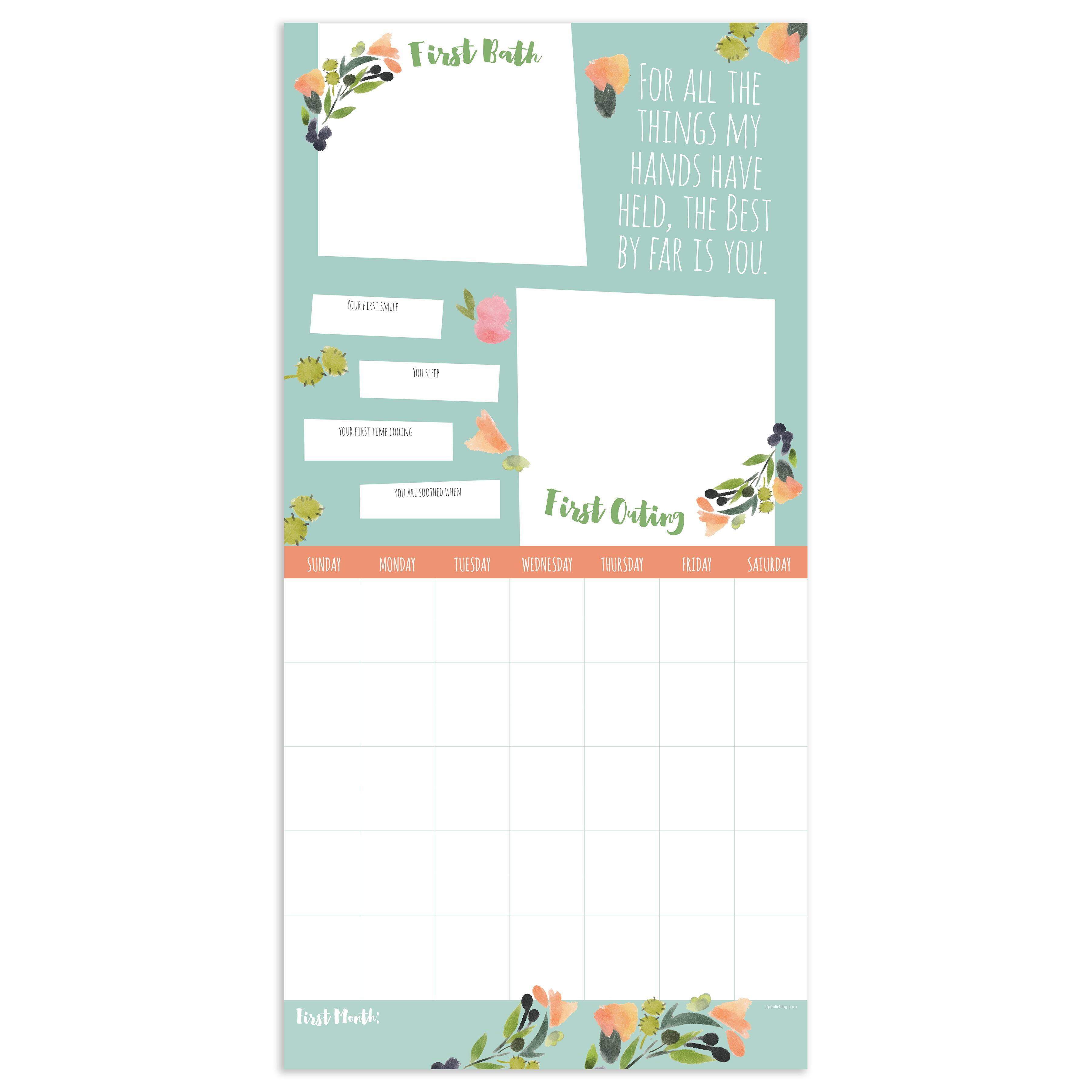 TF Publishing Baby's First Year Undated Keepsake Wall Calendar