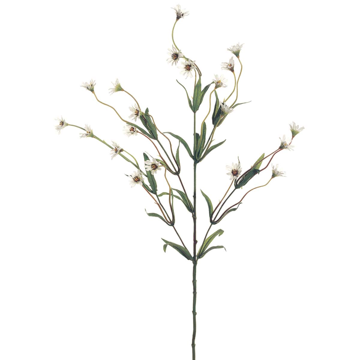 Cream Wild Daisy Spray by Ashland®