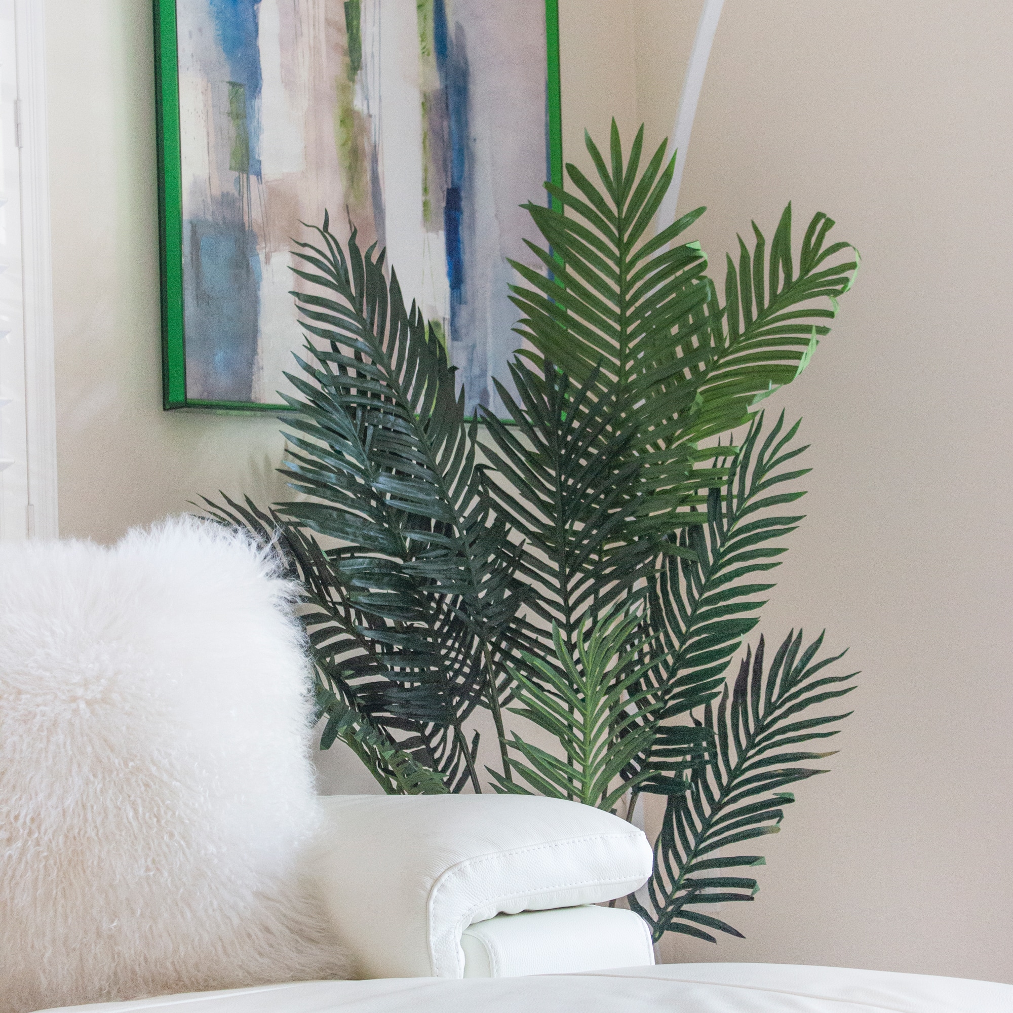 5ft. Potted Paradise Palm