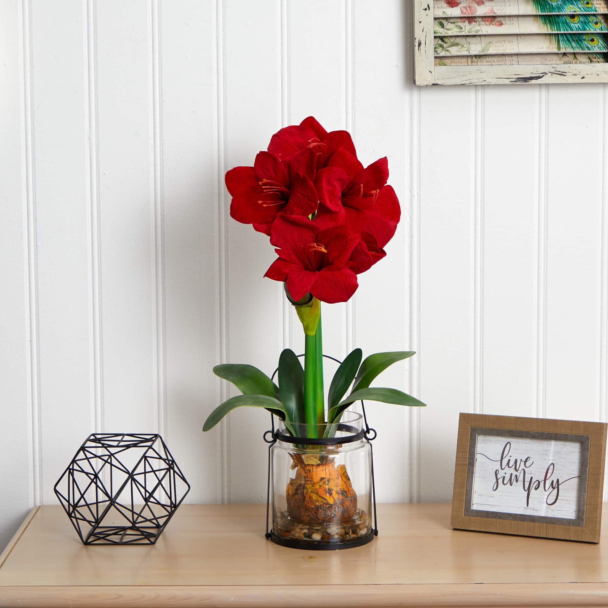 24" Red Amaryllis in Glass Vase