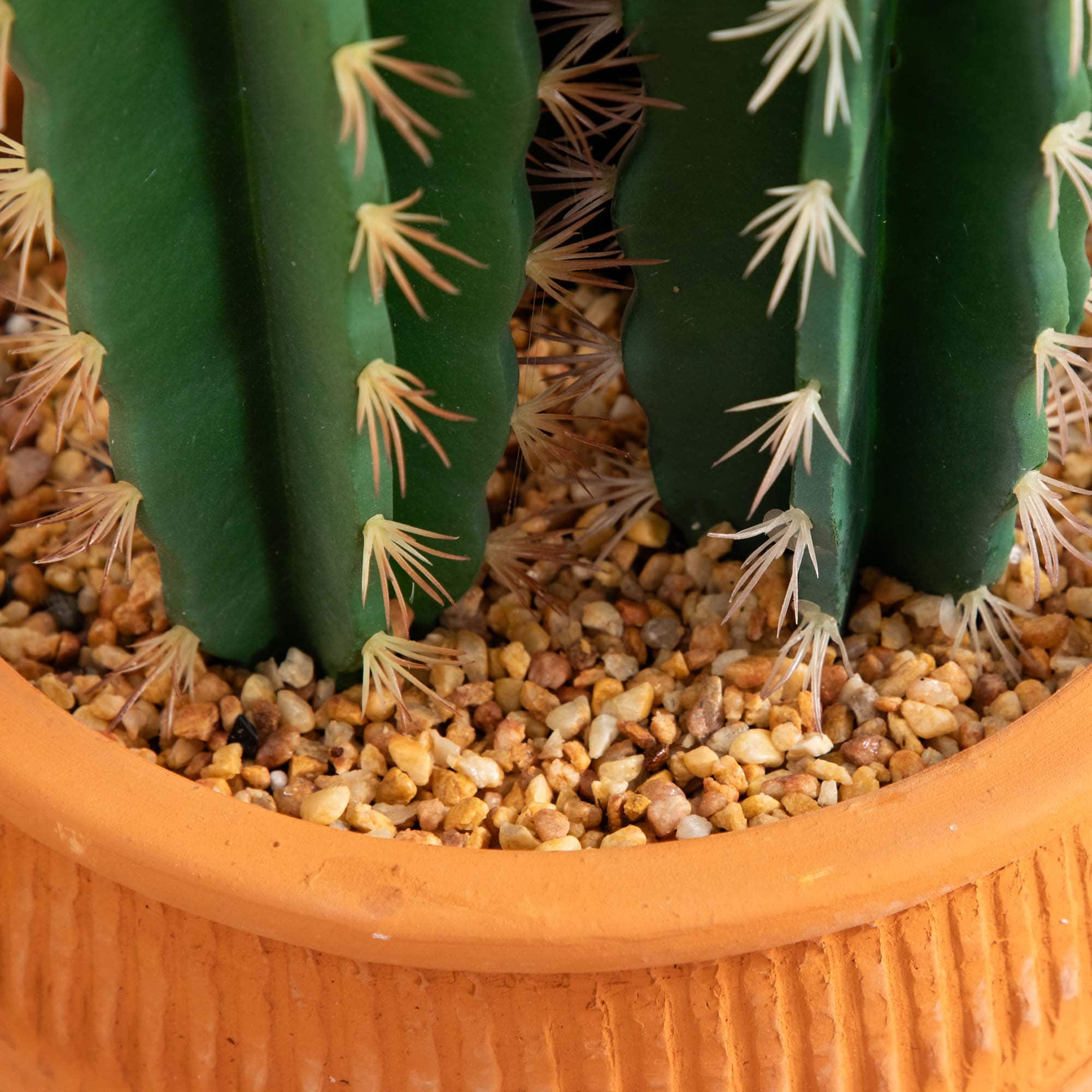 5ft. Cactus in Terracotta Planter
