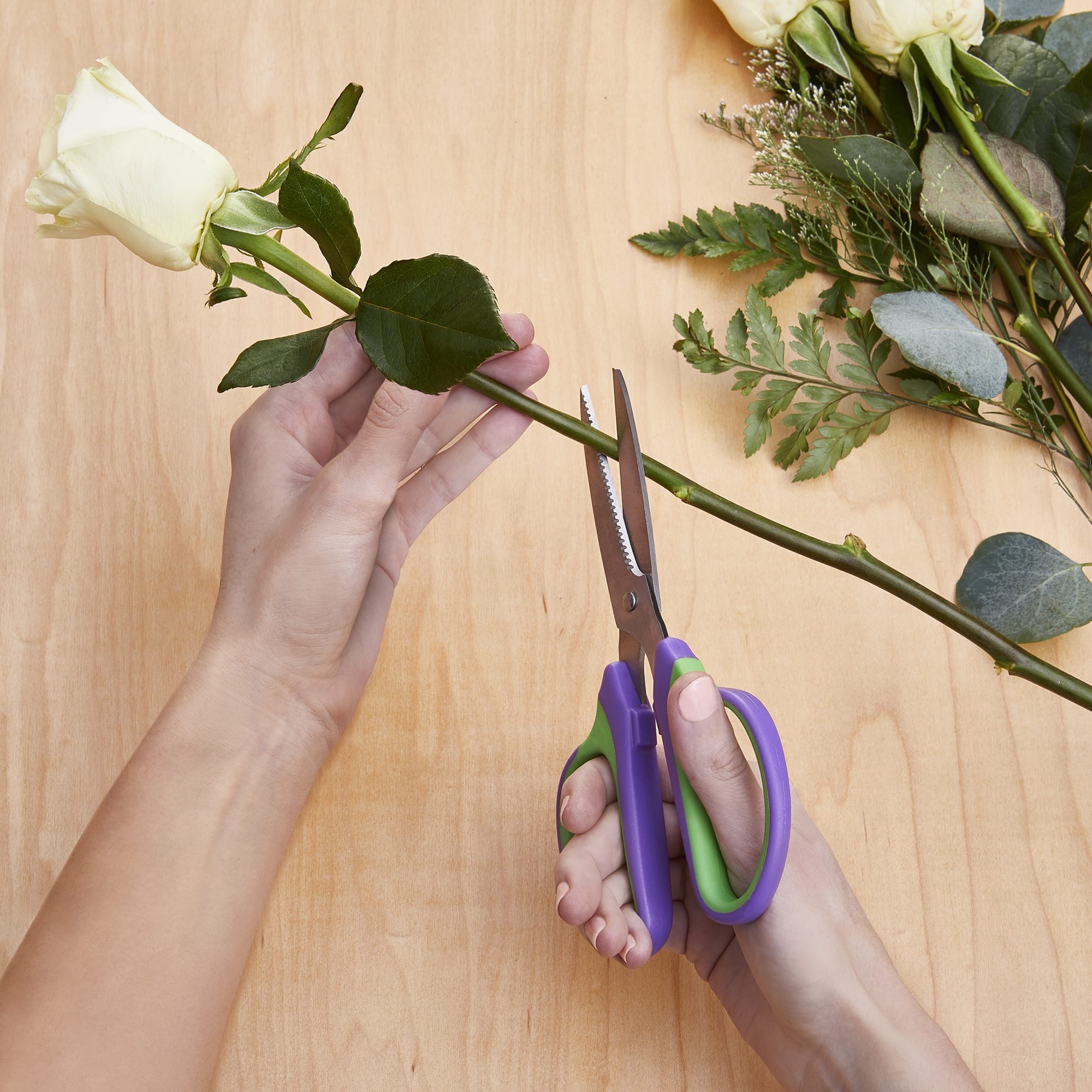 FloraCraft® 7.5" Purple & Green Floral Shears